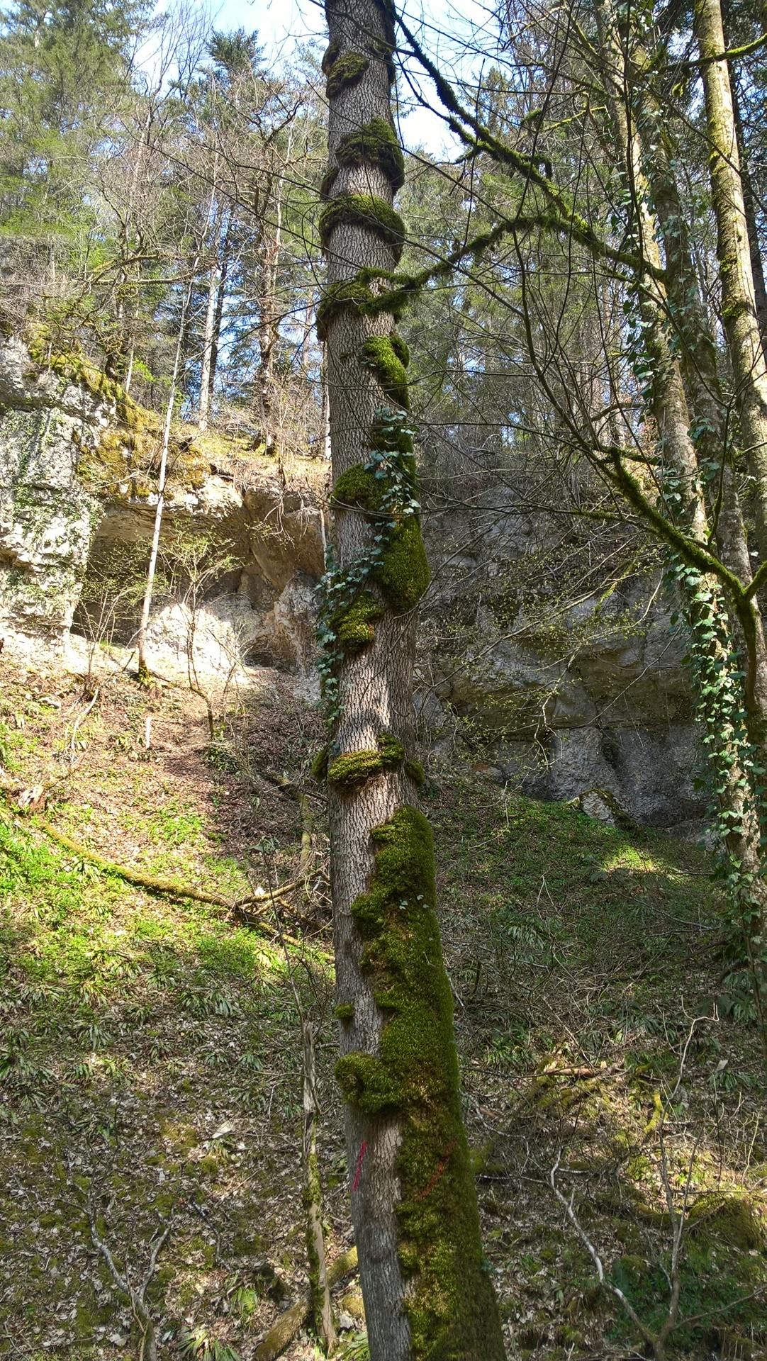 Wanderungen & Ausflüge