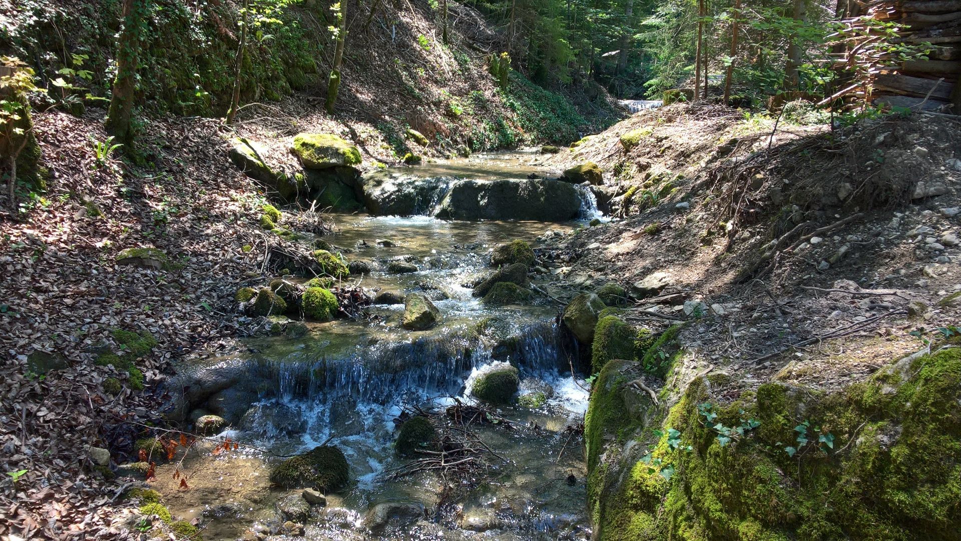 Wanderungen & Ausflüge