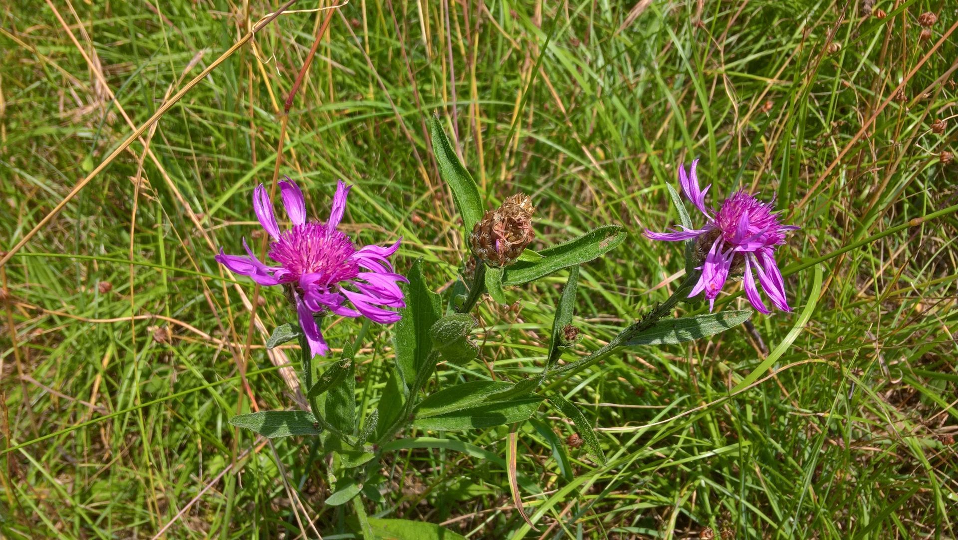 Wanderungen & Ausflüge