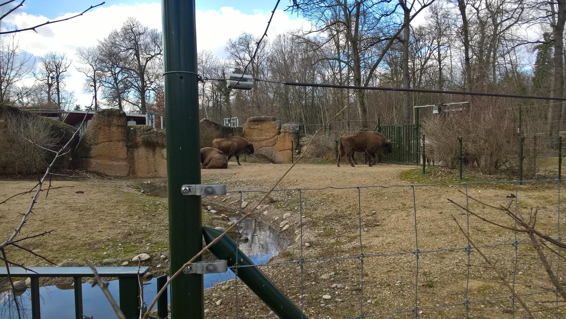 Wanderungen & Ausflüge