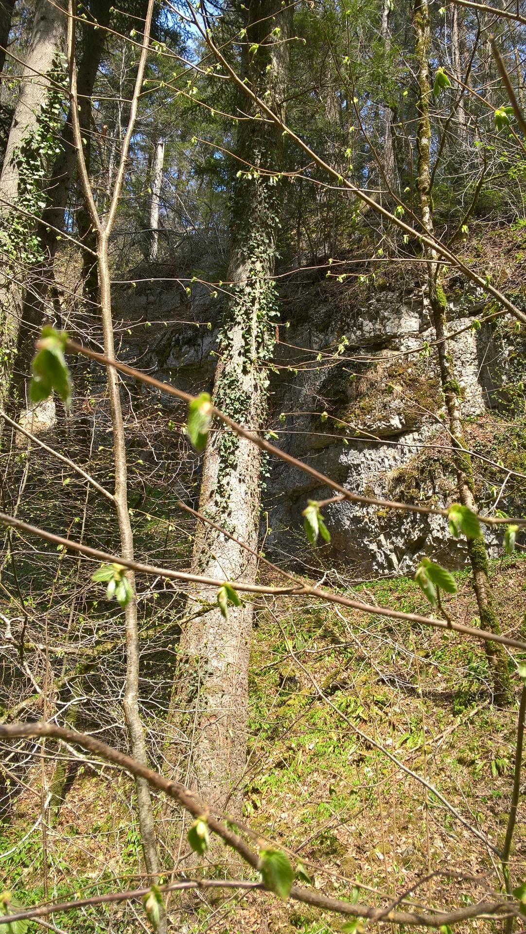 Wanderungen & Ausflüge