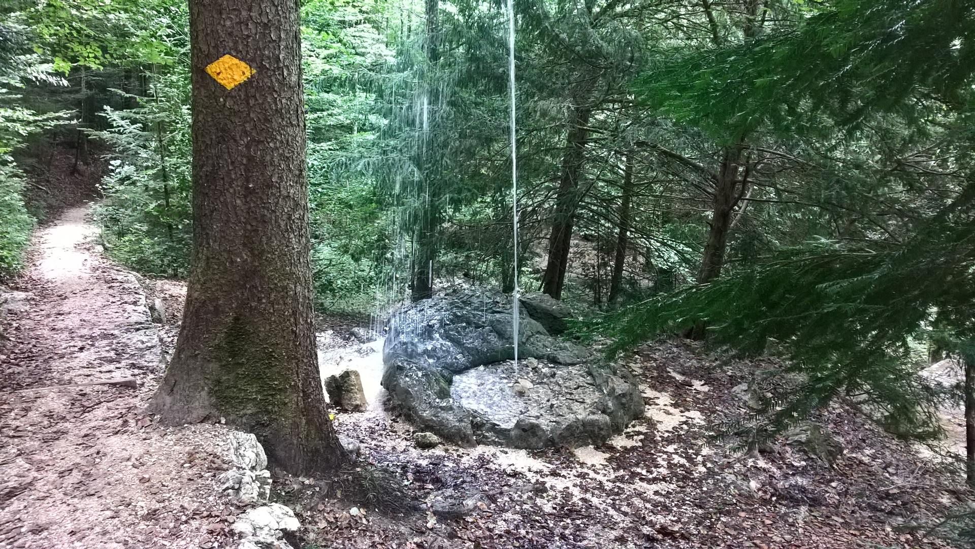 Wanderungen & Ausflüge