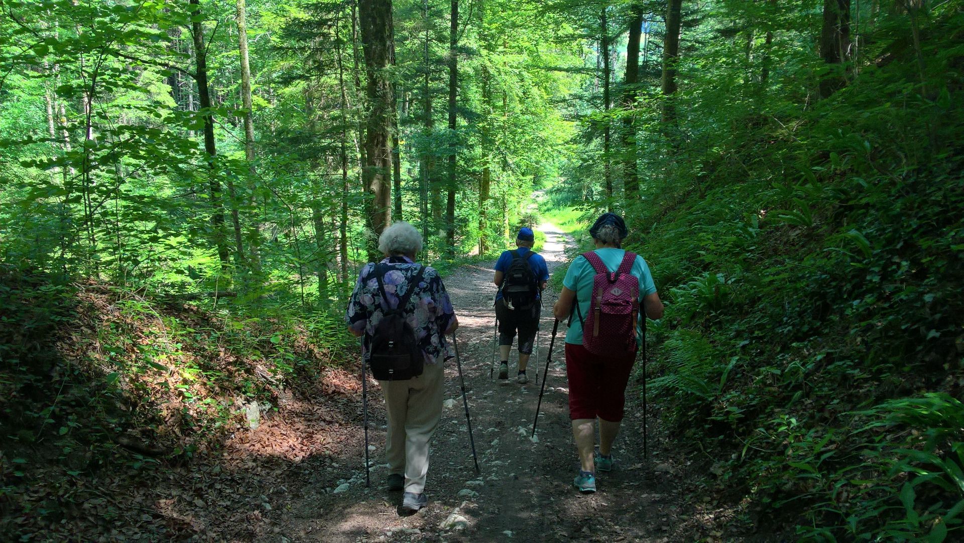 Wanderungen & Ausflüge