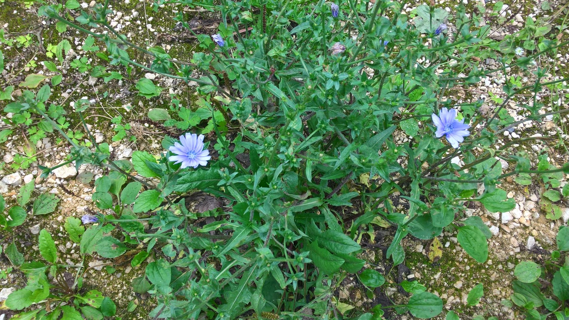 Wanderungen & Ausflüge