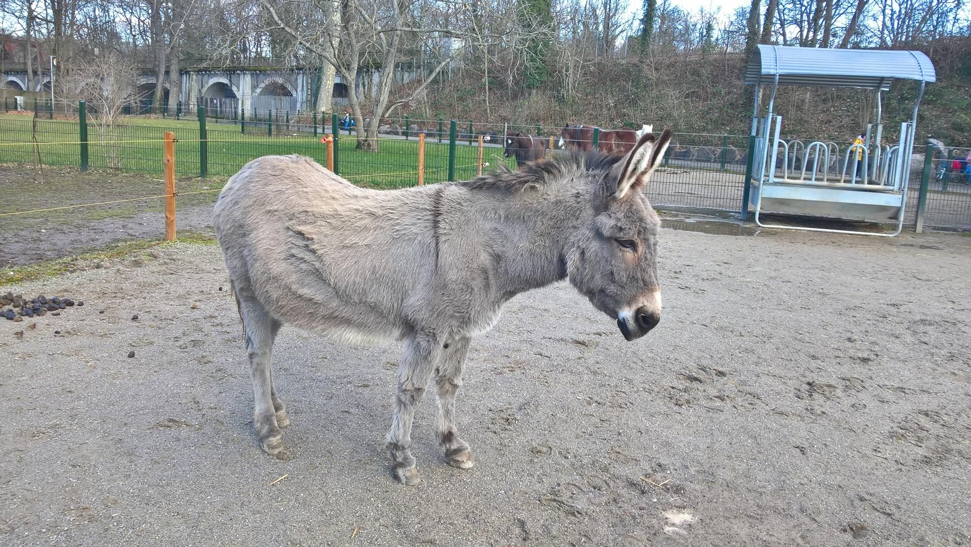 Wanderungen & Ausflüge