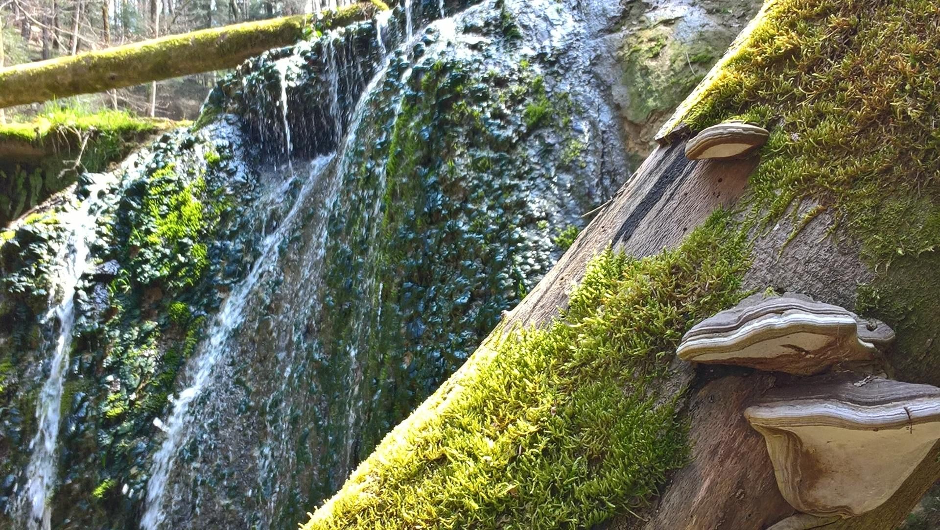 Wanderungen & Ausflüge