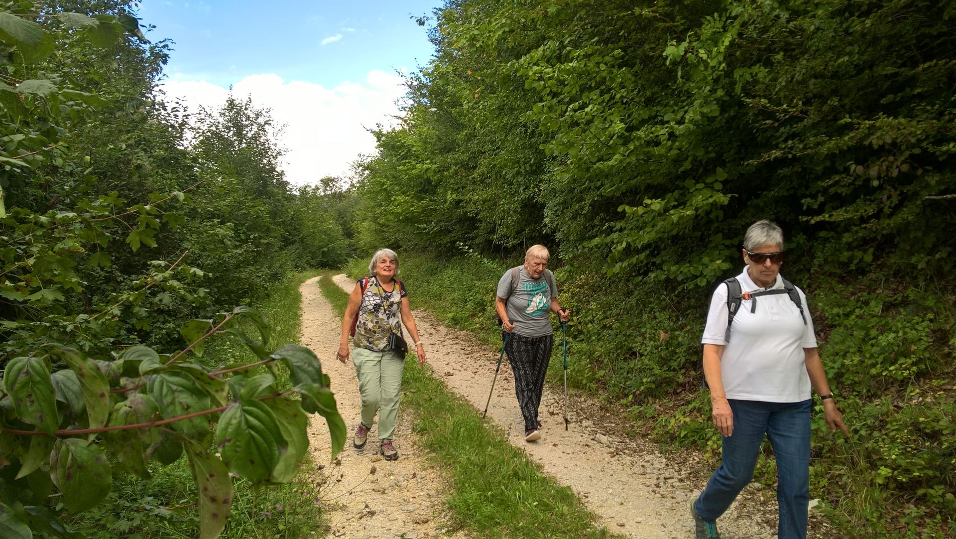 Wanderungen & Ausflüge