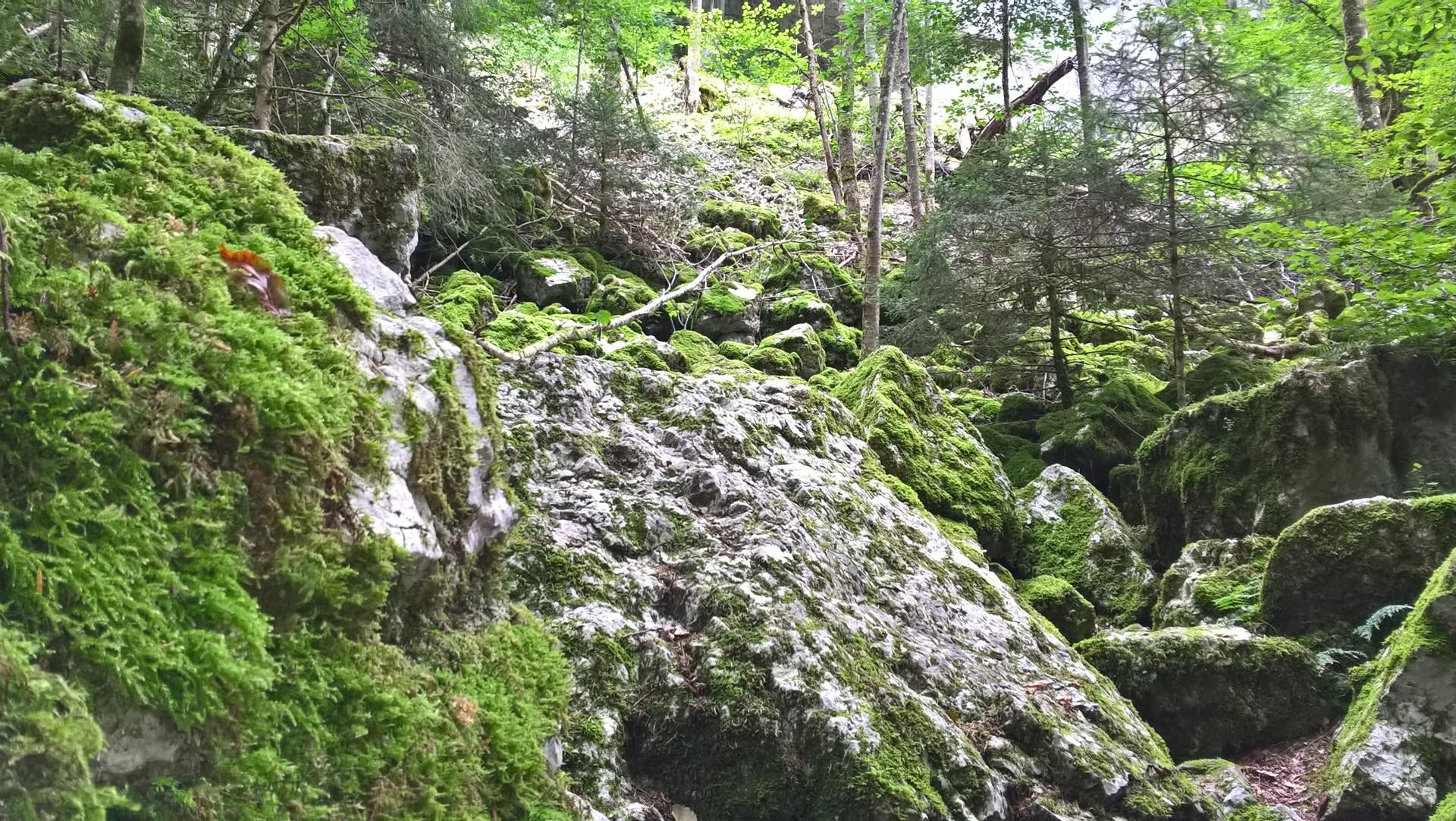 Wanderungen & Ausflüge