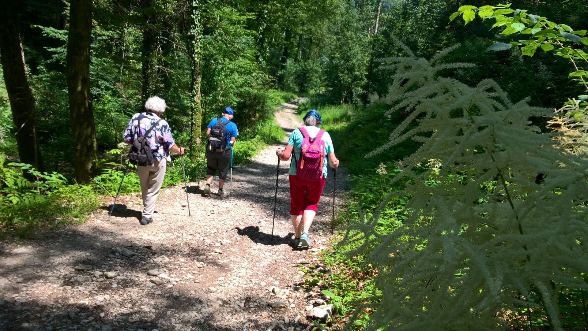 Wanderungen & Ausflüge