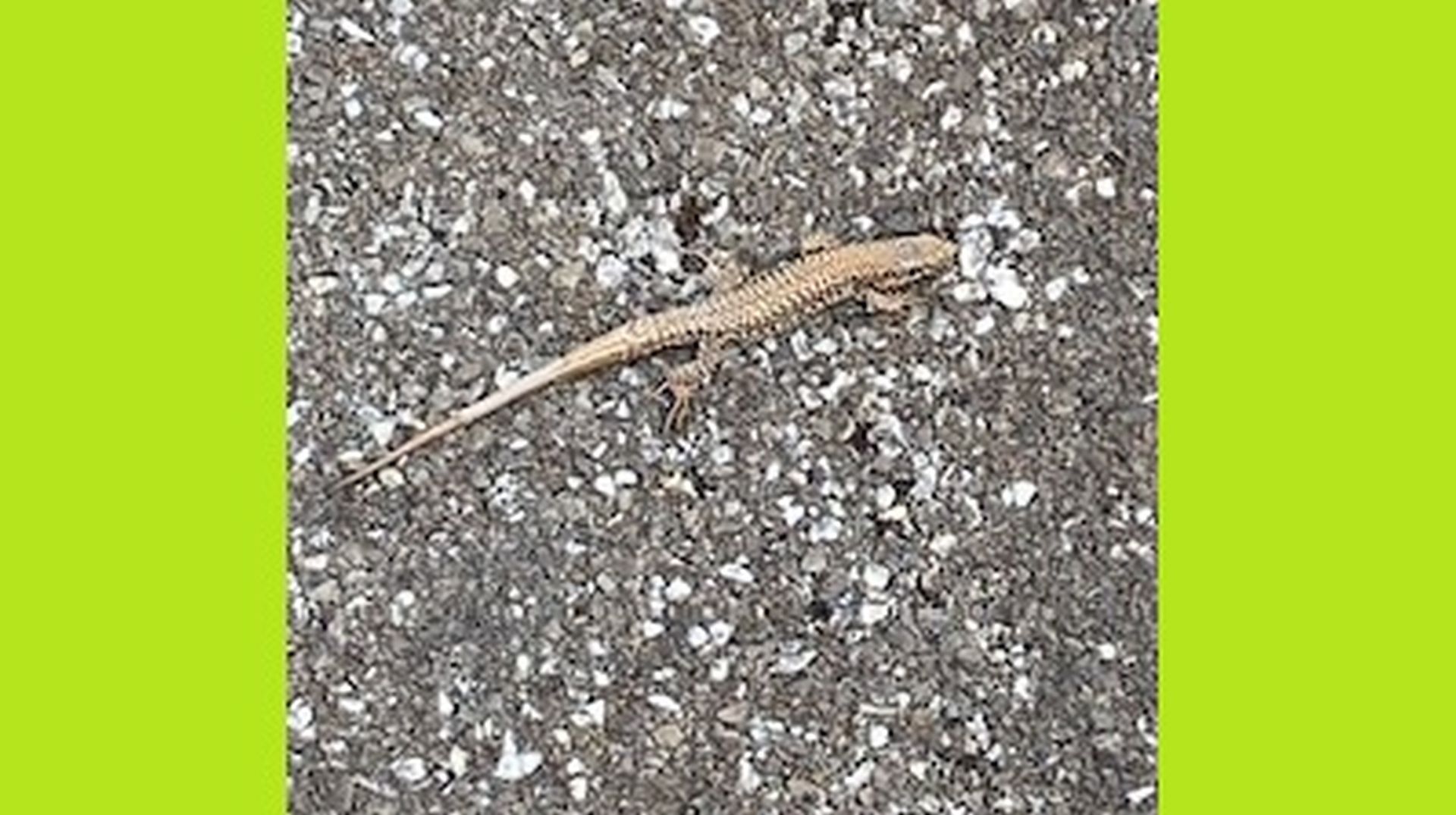 Wanderungen & Ausflüge