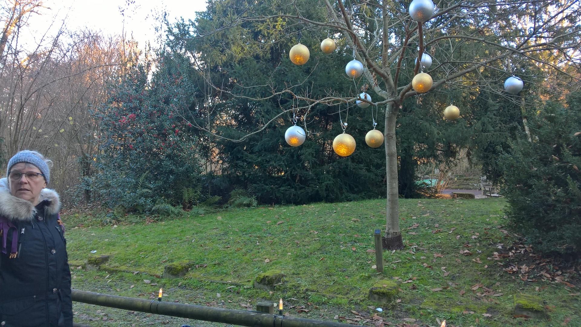 Wanderungen & Ausflüge