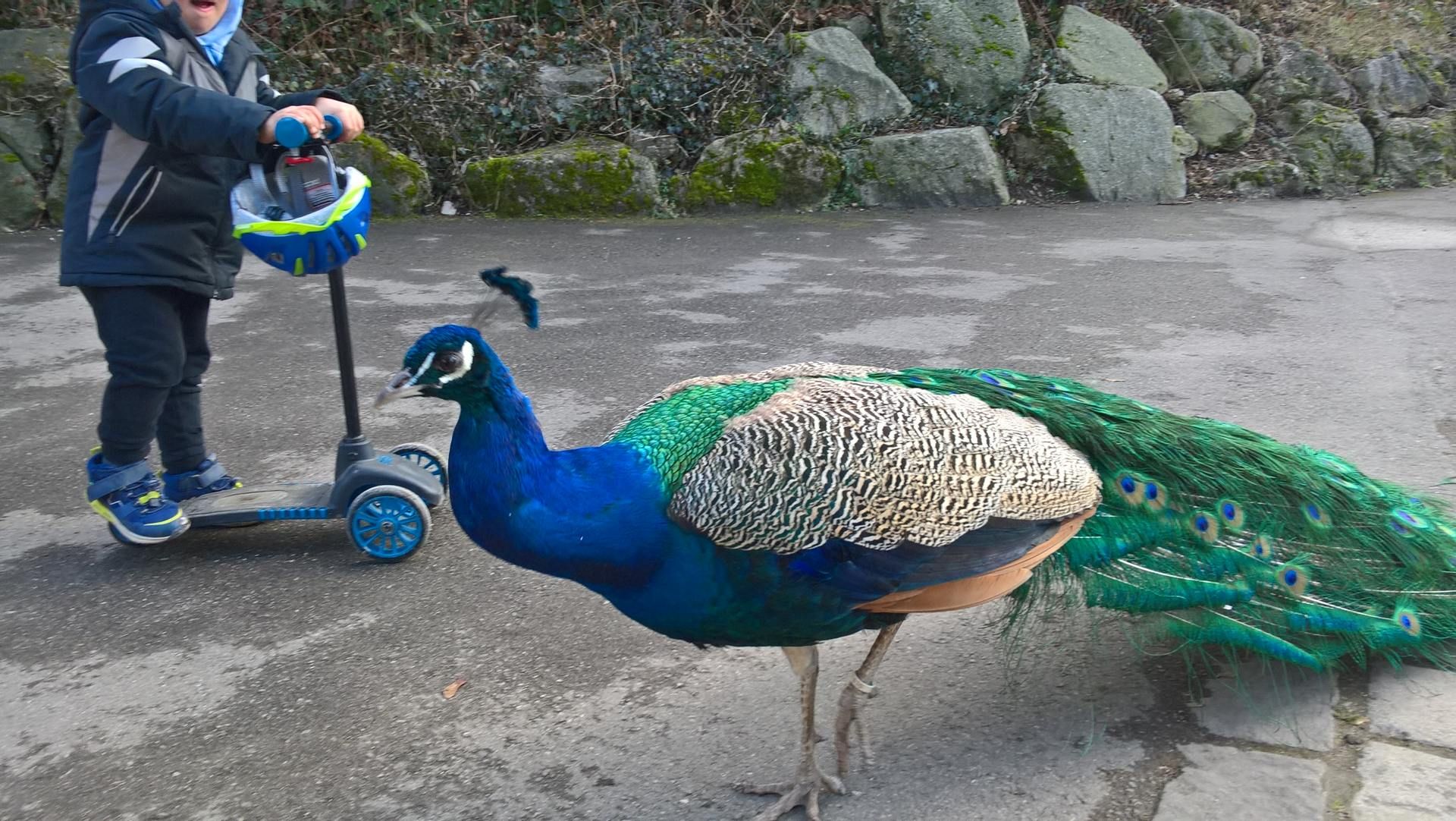 Wanderungen & Ausflüge