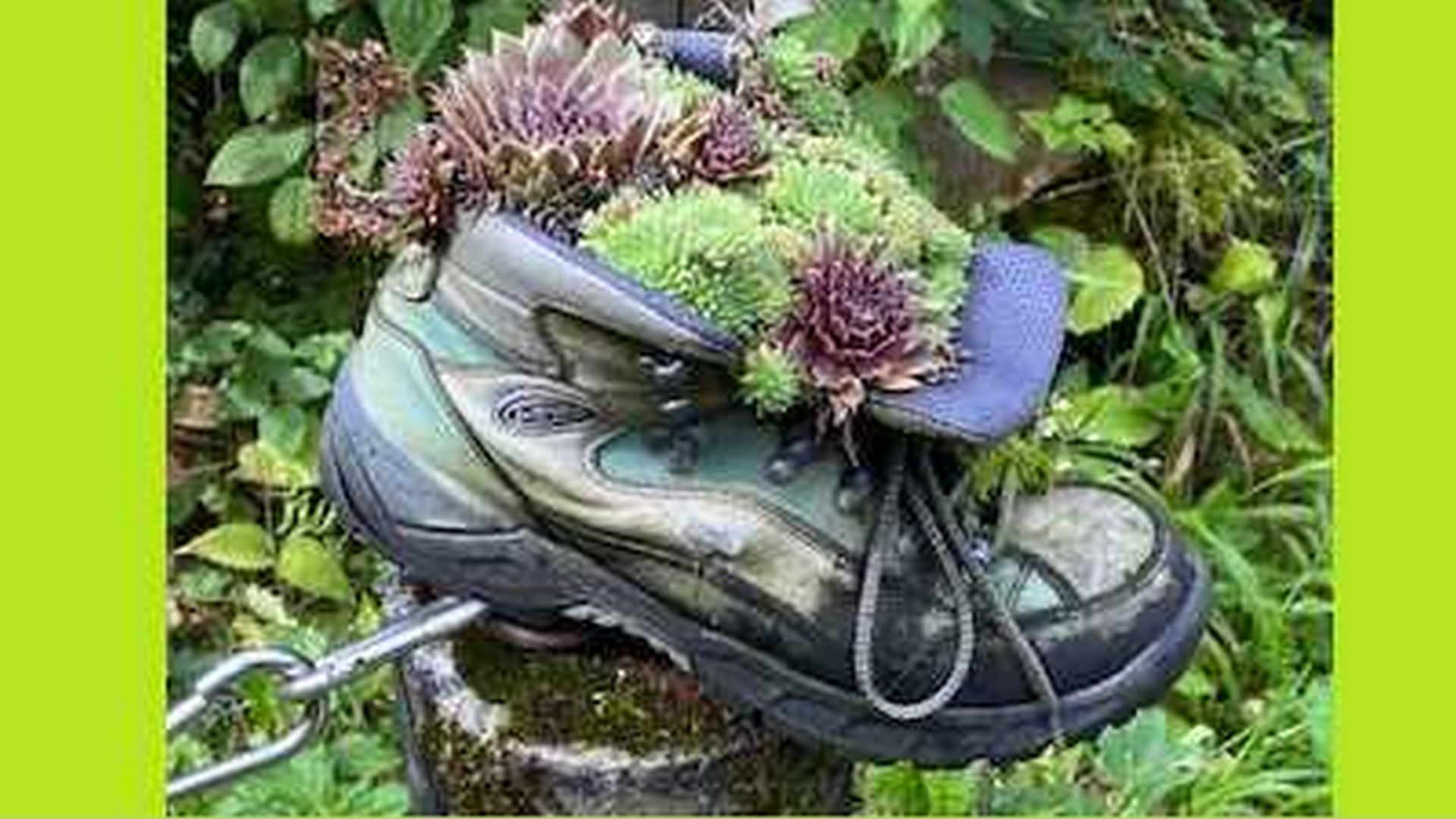 Wanderungen & Ausflüge