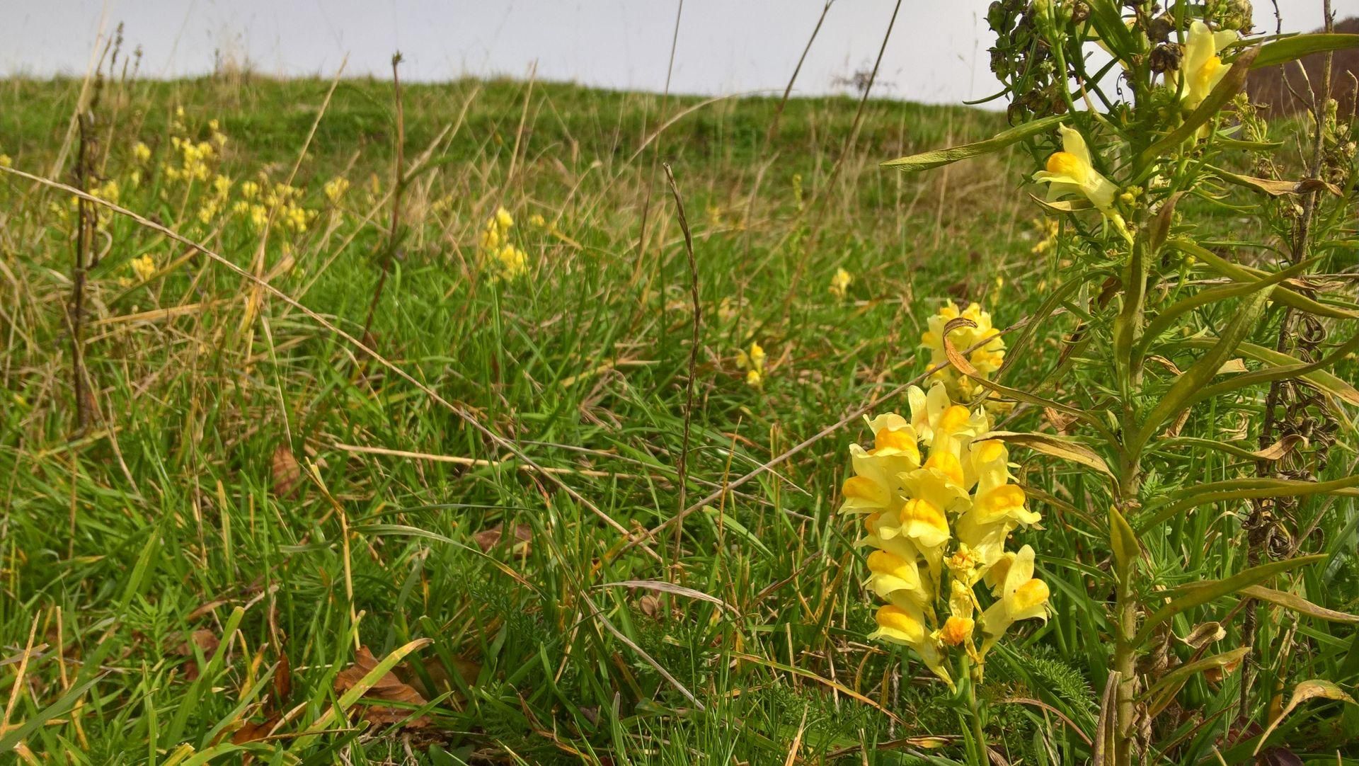 Wanderungen & Ausflüge