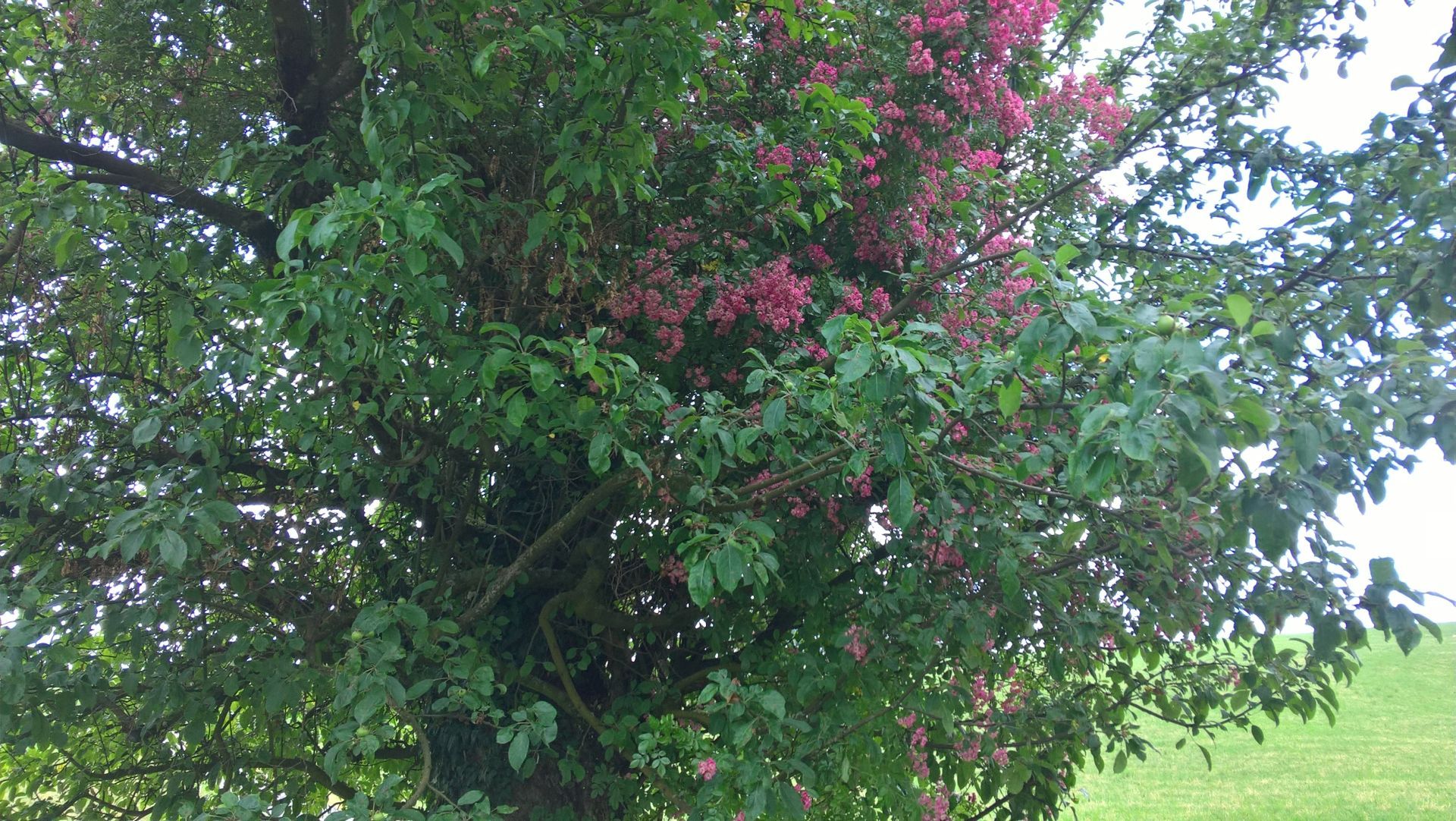 Wanderungen & Ausflüge