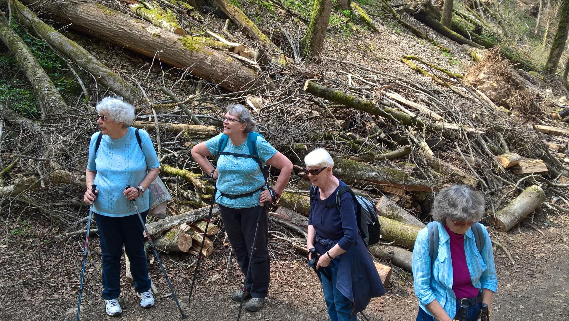 Wanderungen & Ausflüge