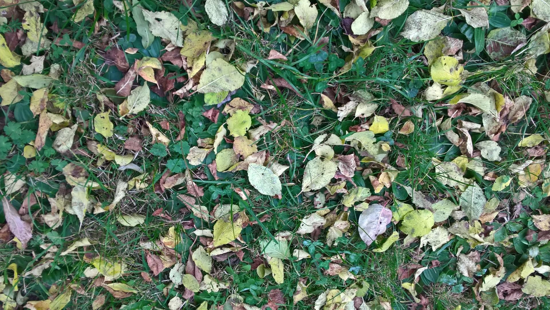 Wanderungen & Ausflüge