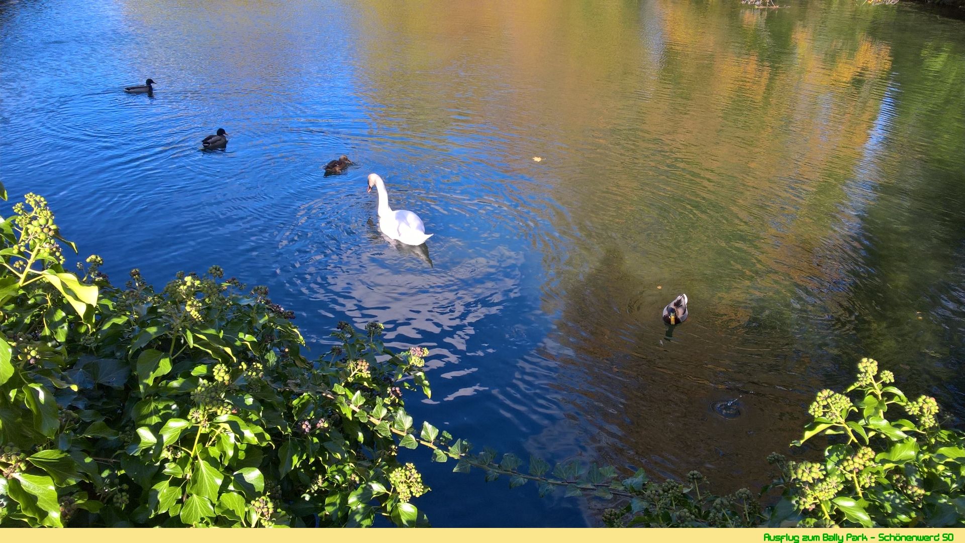 Wanderungen & Ausflüge