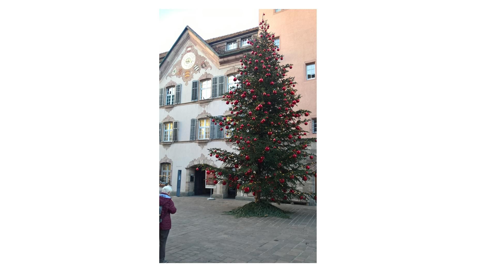 Wanderungen & Ausflüge