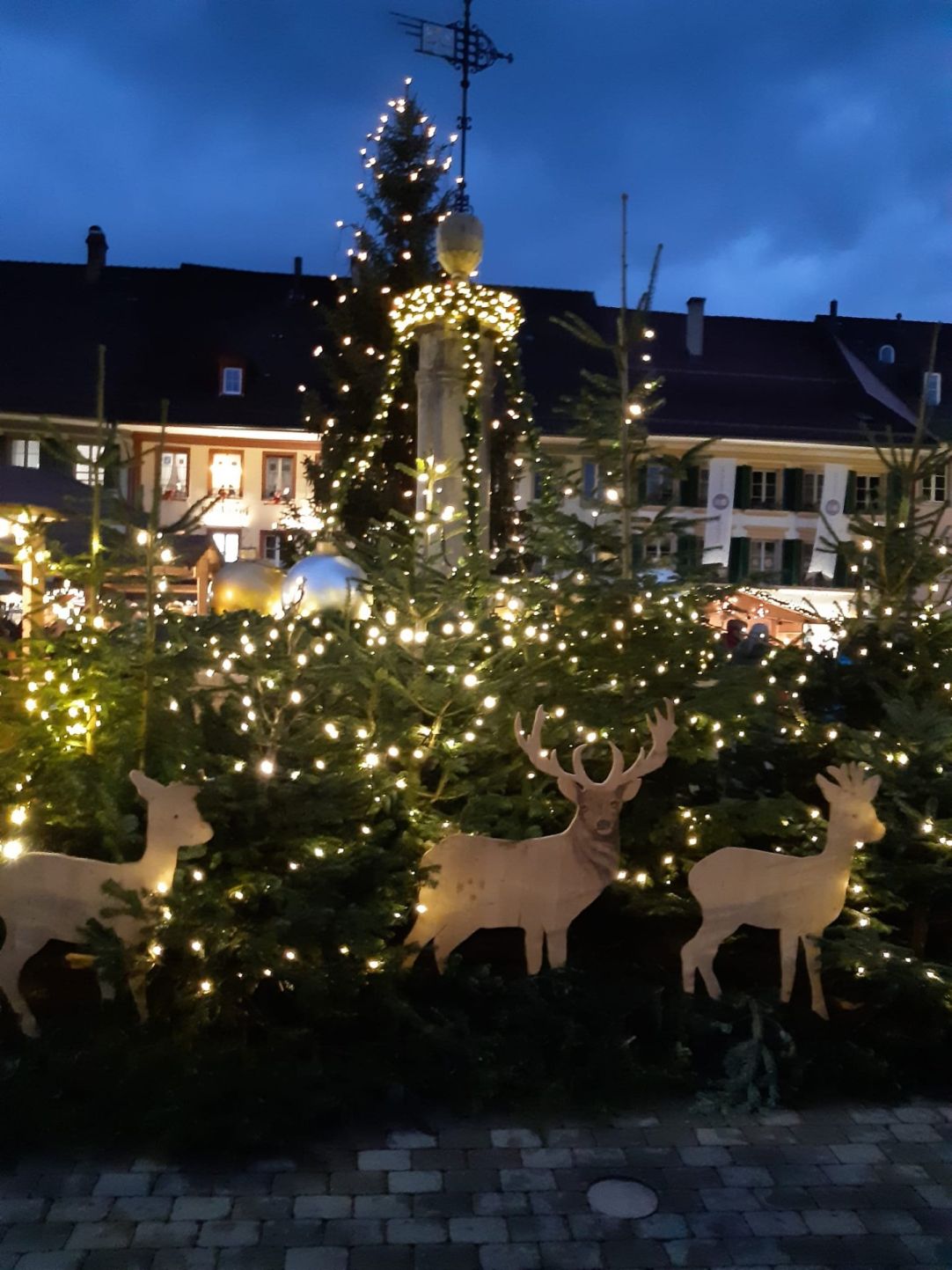 Wanderungen & Ausflüge