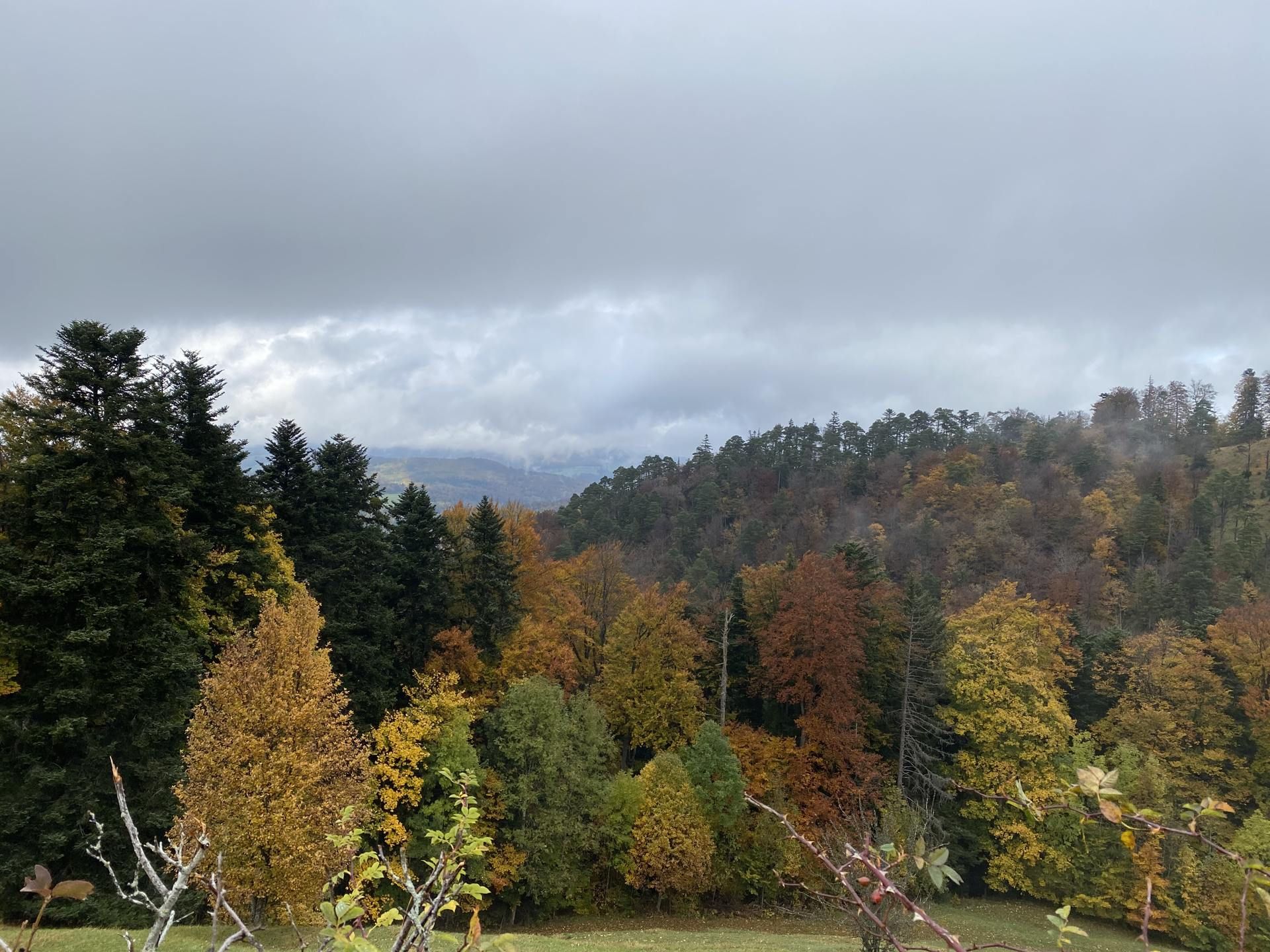 Wanderungen & Ausflüge
