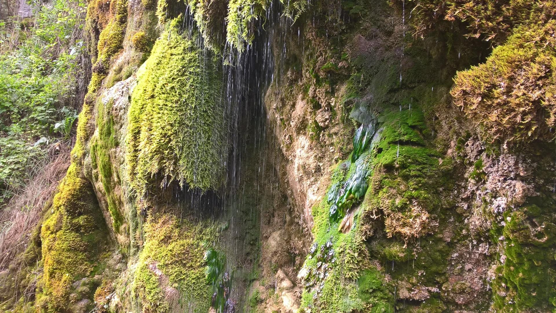 Wanderungen & Ausflüge