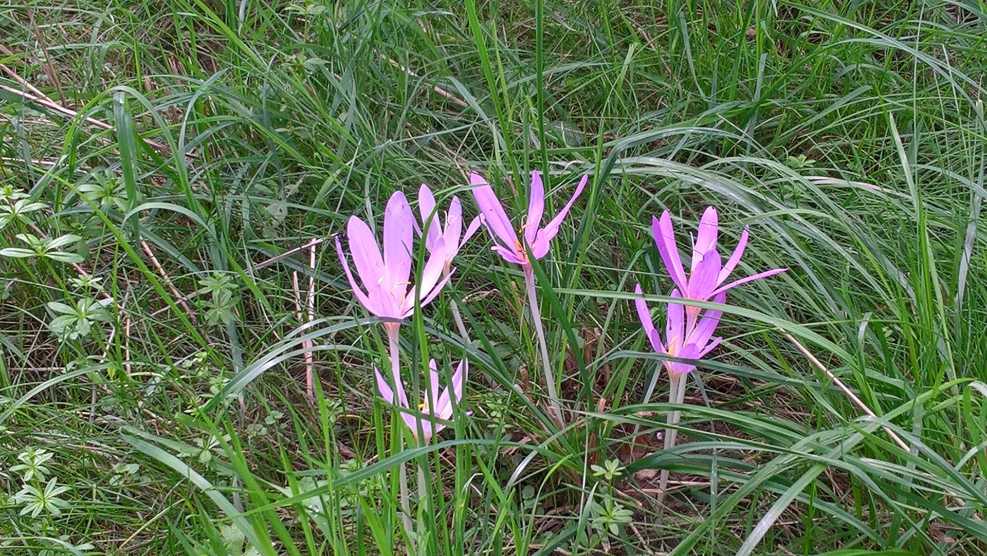 Wanderungen & Ausflüge