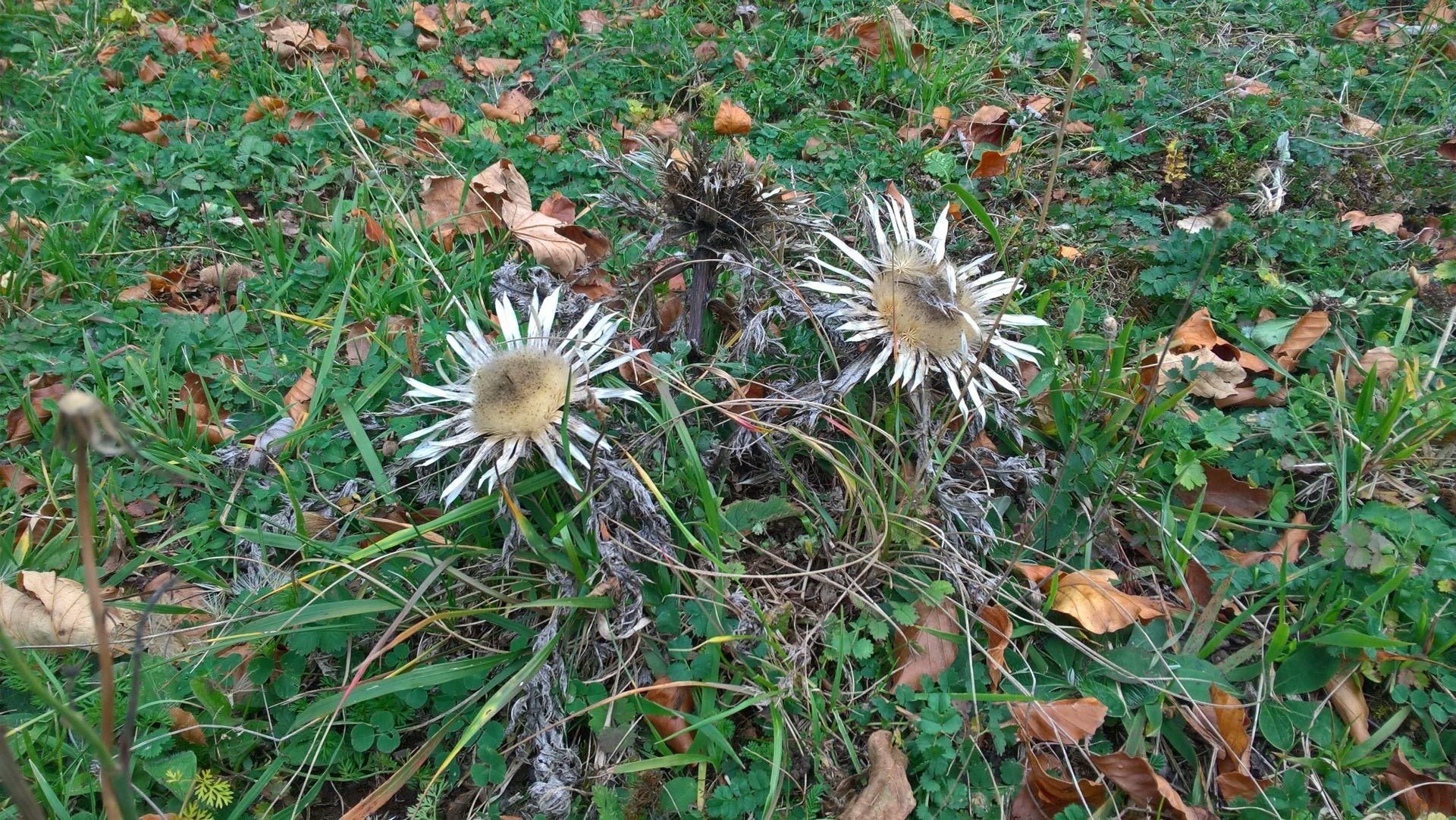 Wanderungen & Ausflüge