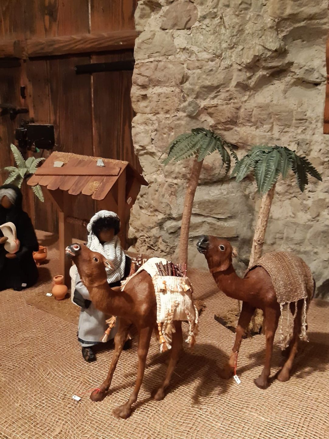 Wanderungen & Ausflüge