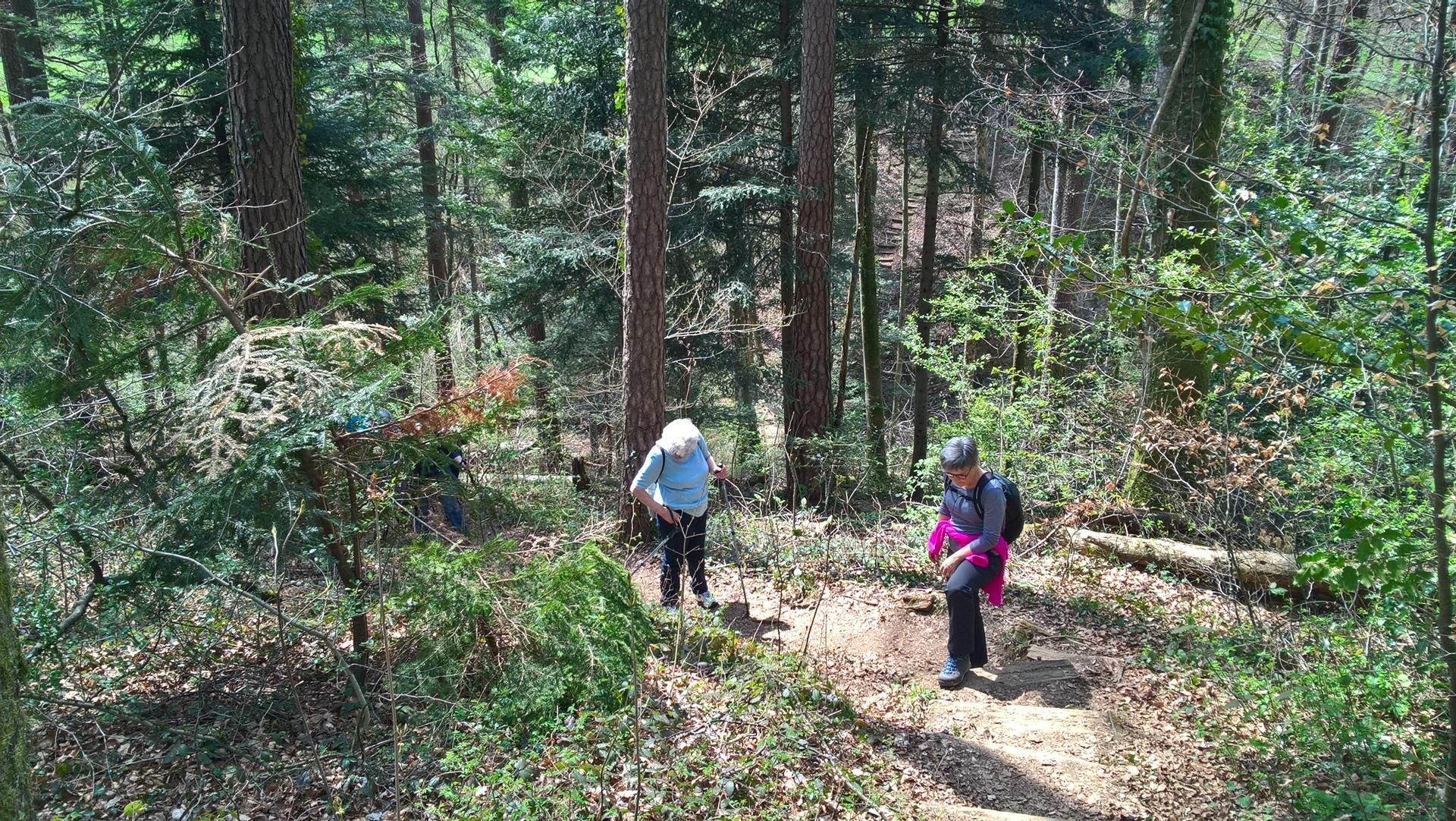 Wanderungen & Ausflüge