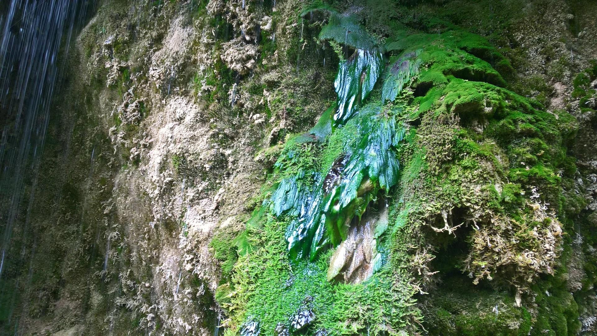 Wanderungen & Ausflüge