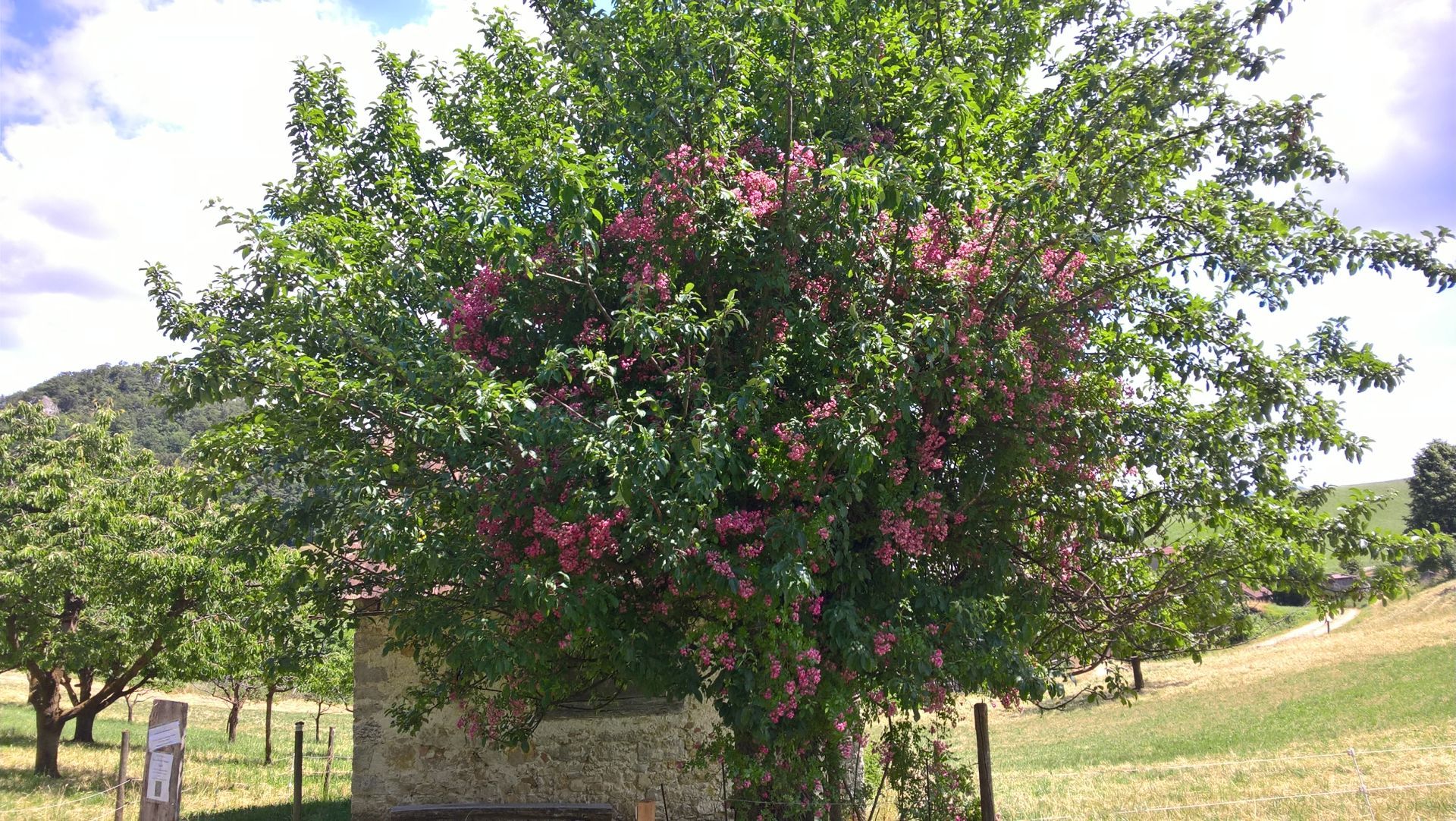 Wanderungen & Ausflüge