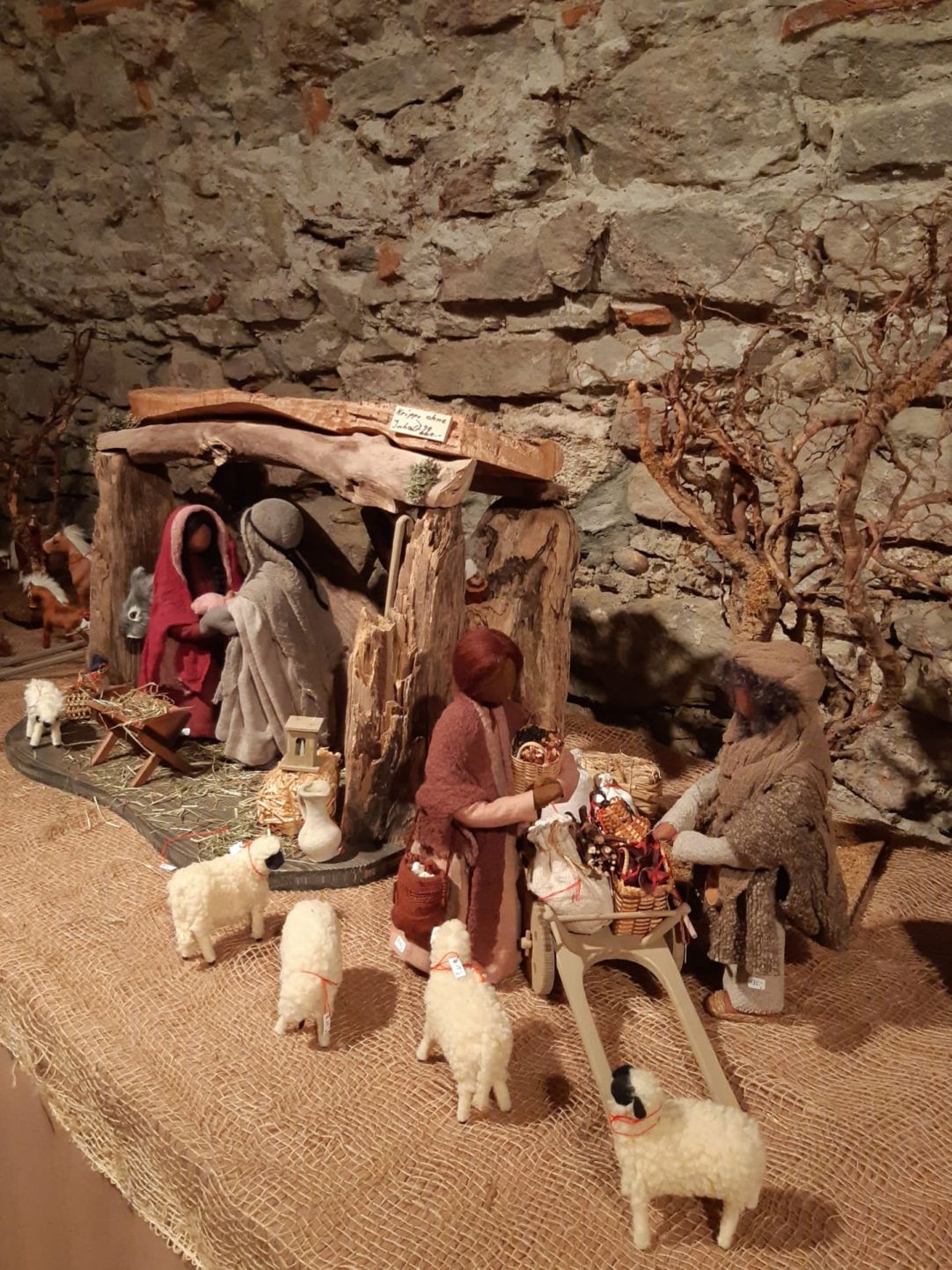 Wanderungen & Ausflüge