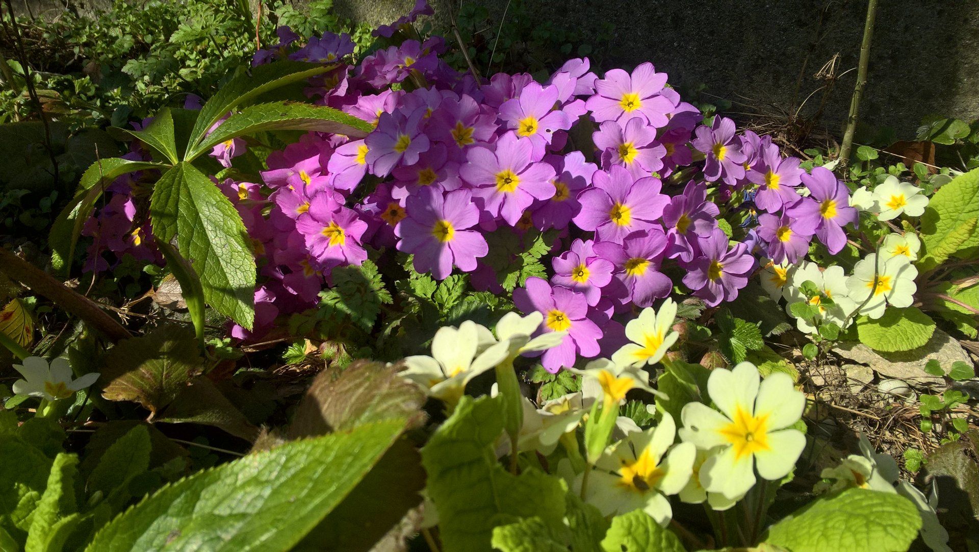 Wanderungen & Ausflüge