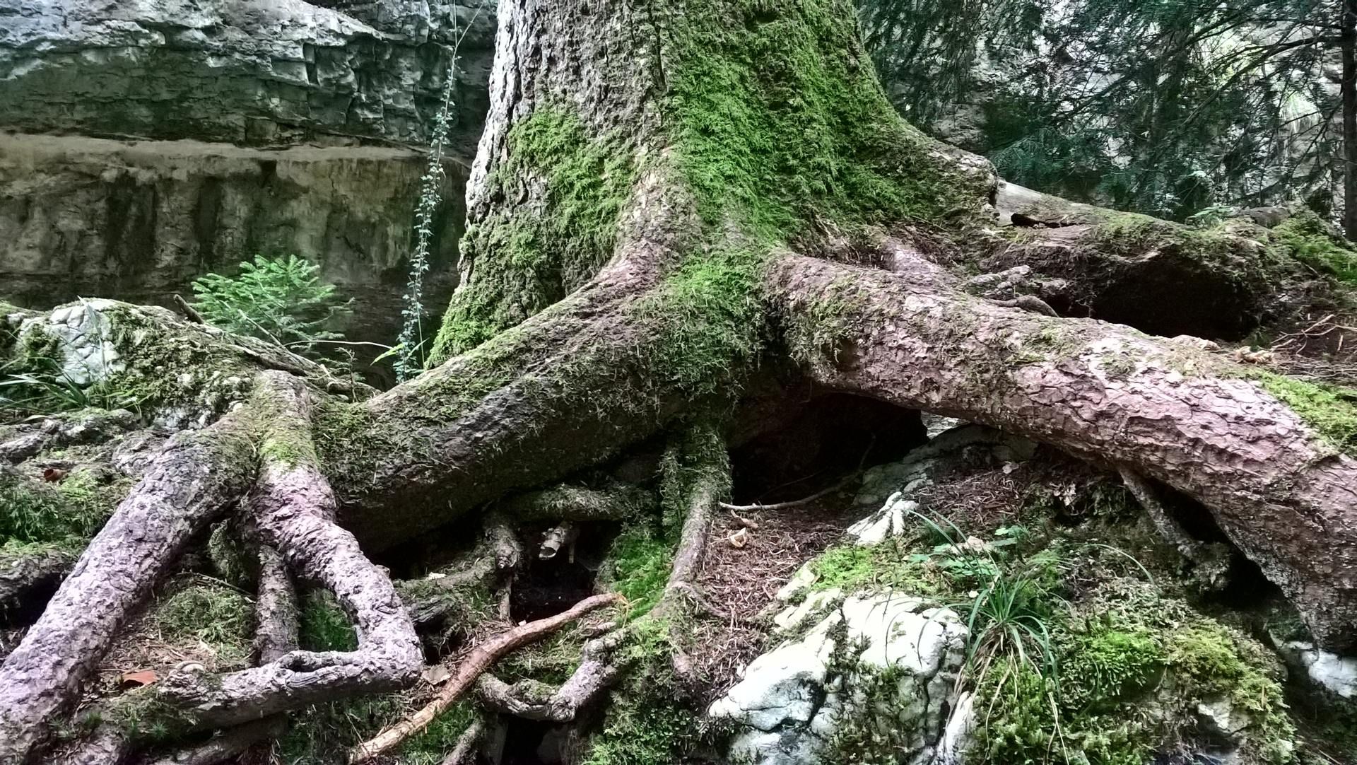 Wanderungen & Ausflüge