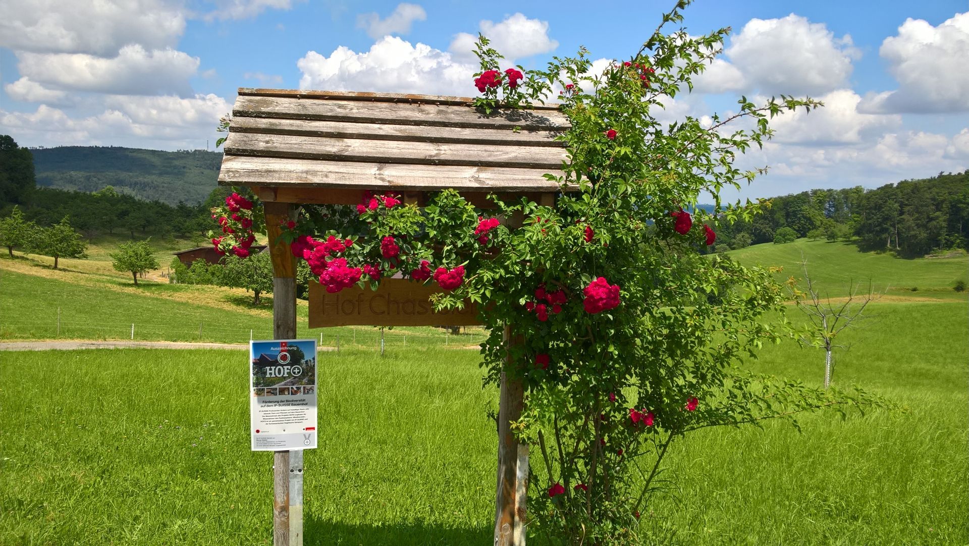 Wanderungen & Ausflüge