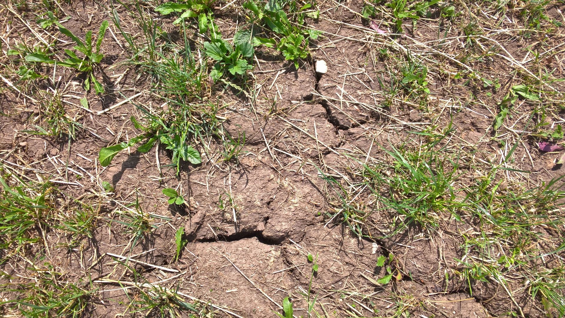 Wanderungen & Ausflüge