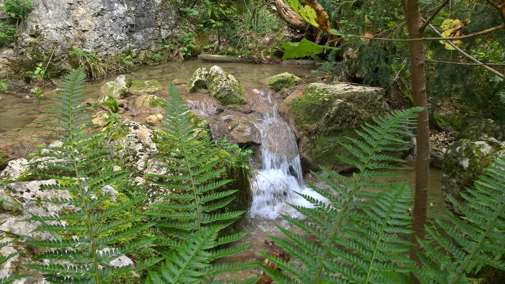Wanderungen & Ausflüge