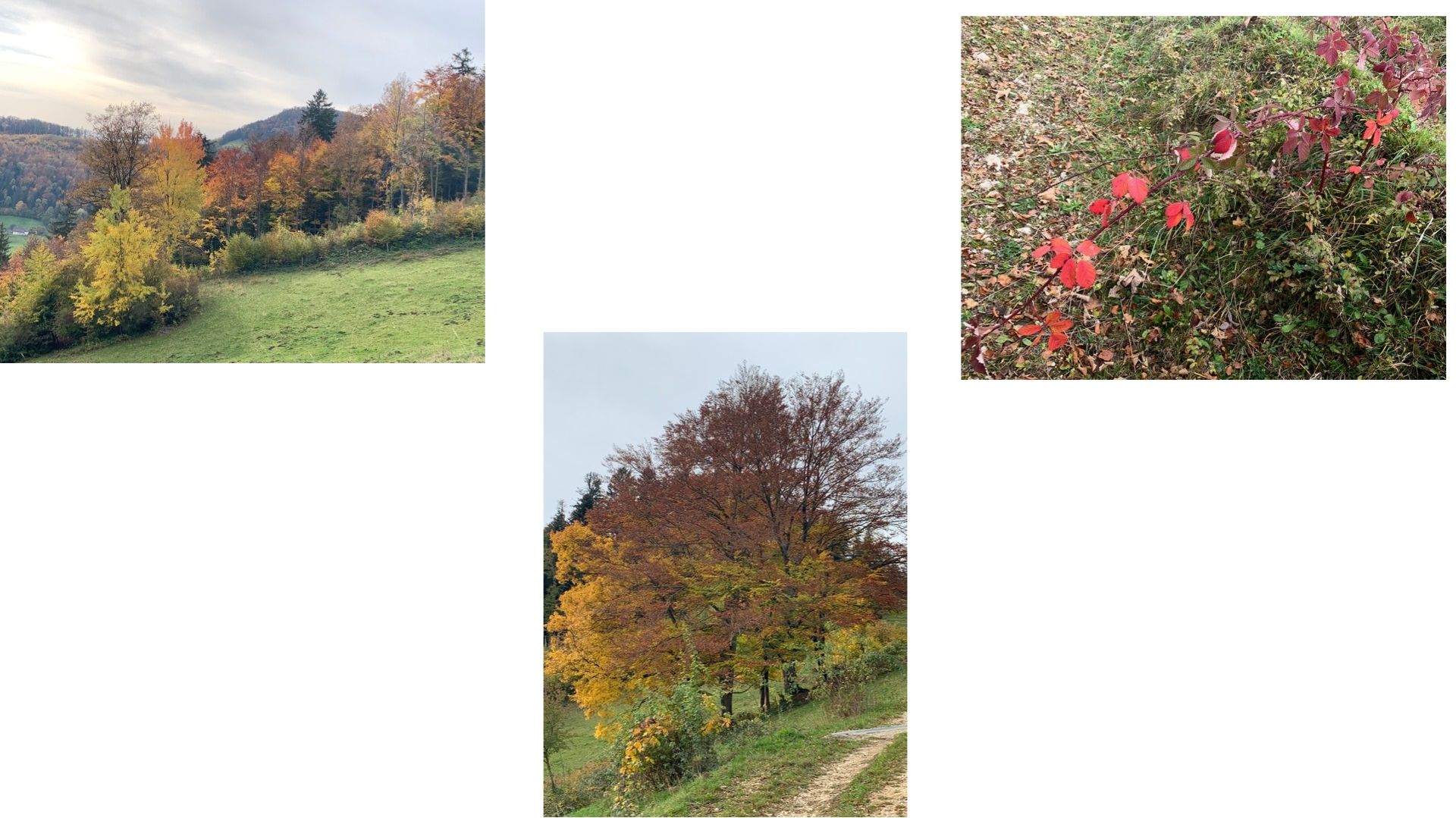 Wanderungen & Ausflüge