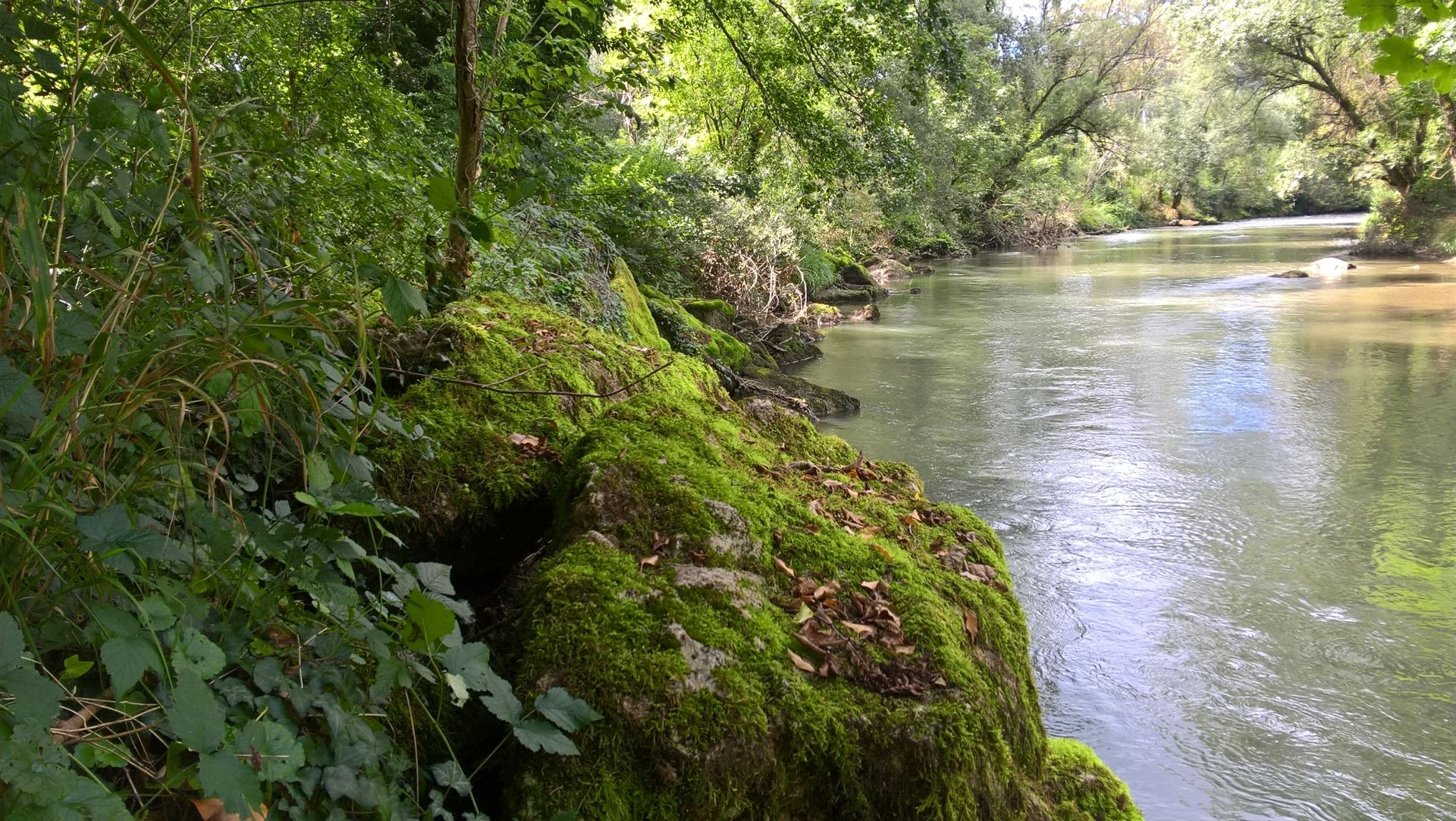Wanderungen & Ausflüge