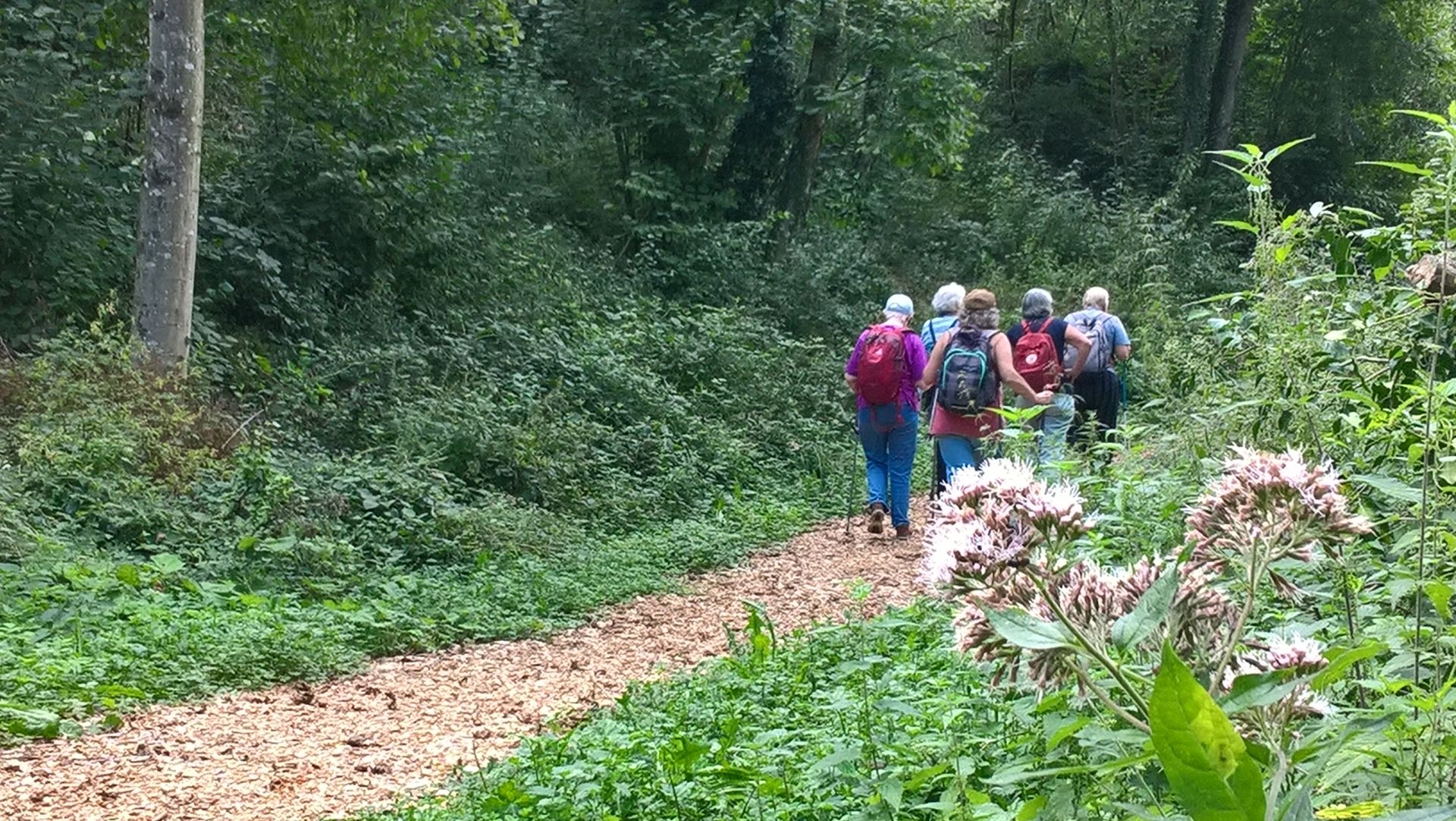 Wanderungen & Ausflüge