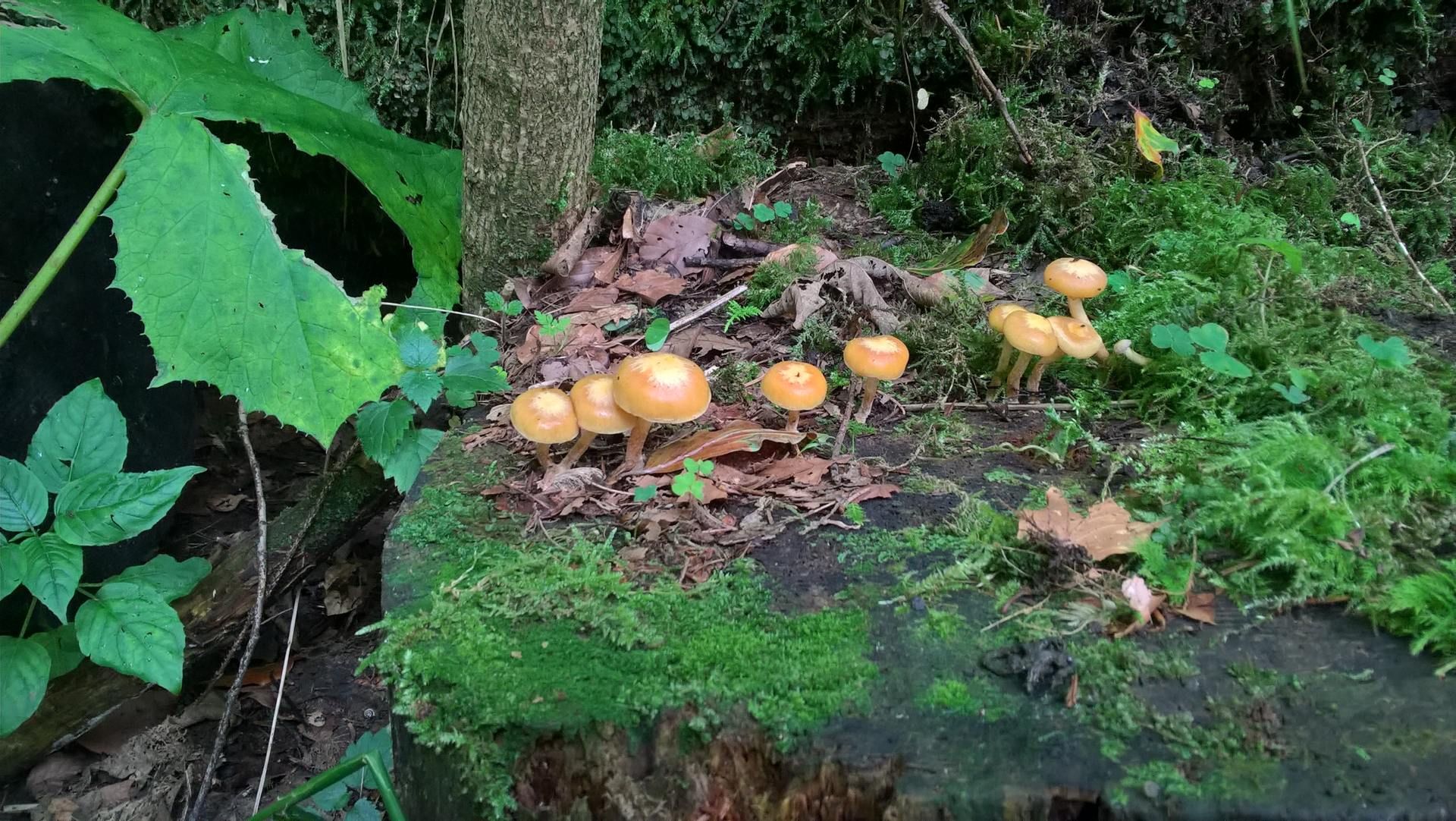 Wanderungen & Ausflüge