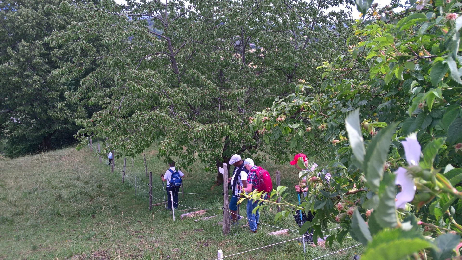 Wanderungen & Ausflüge