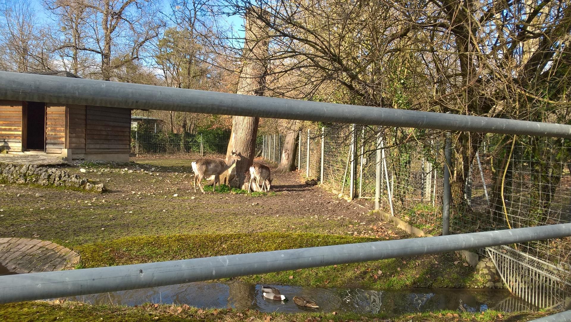 Wanderungen & Ausflüge