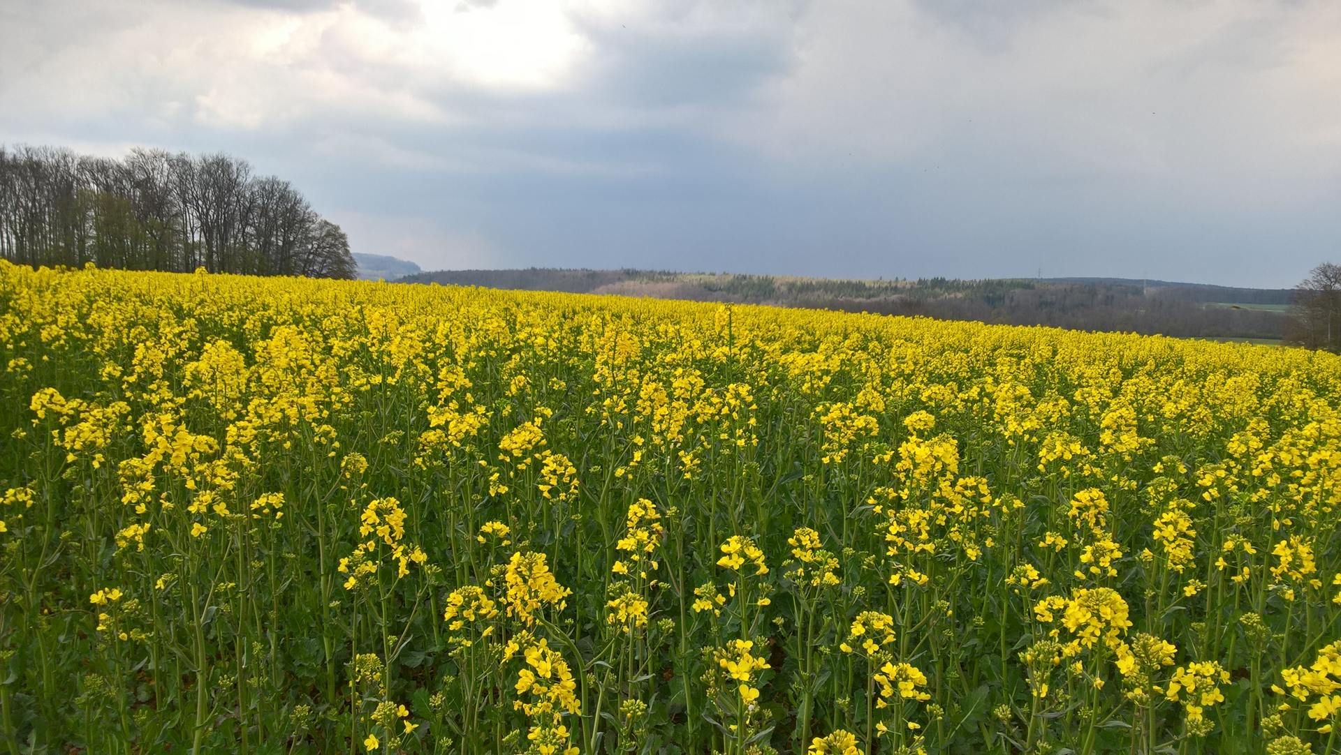 Wanderungen & Ausflüge