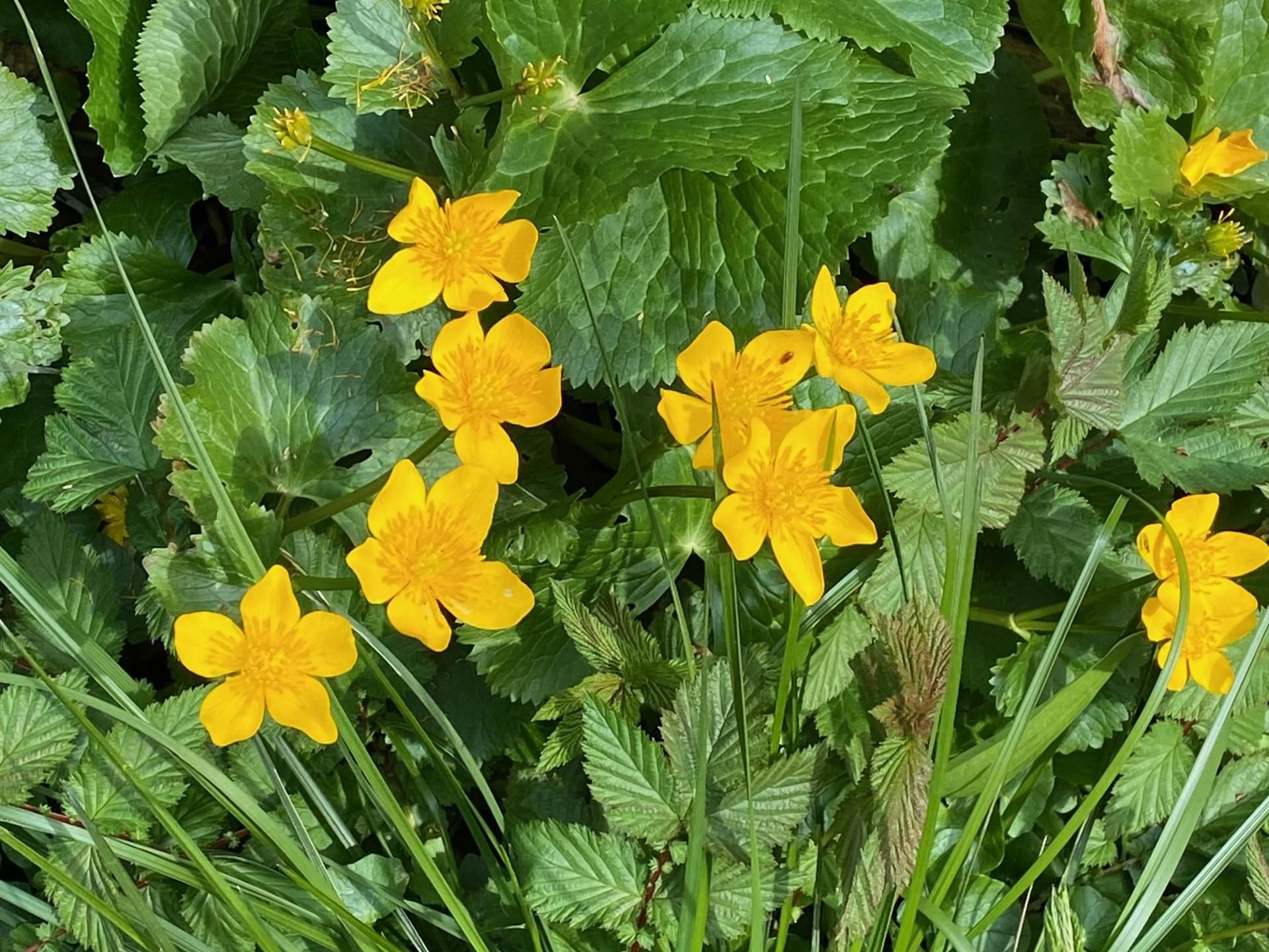 Wanderungen & Ausflüge