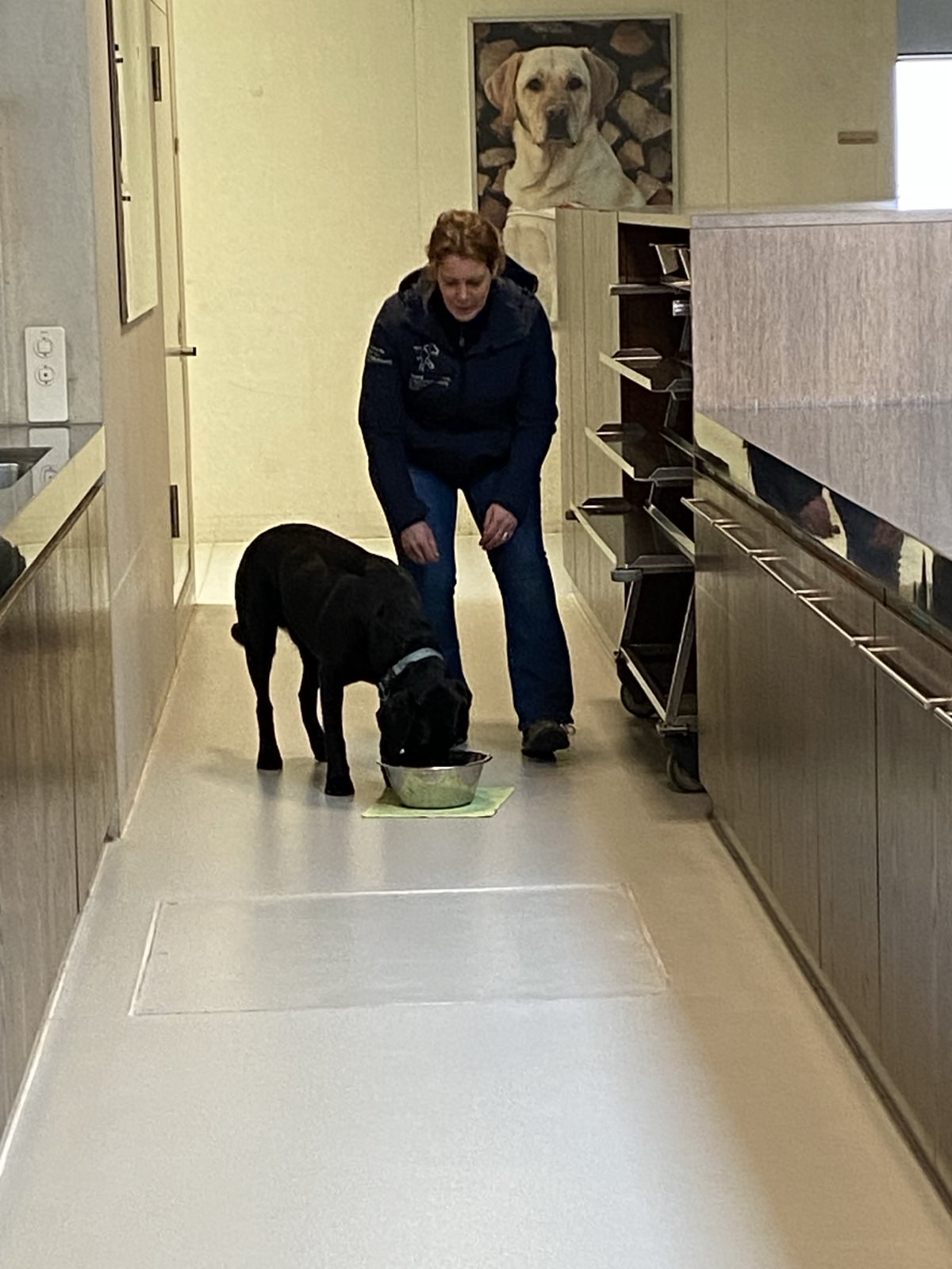 Wanderungen & Ausflüge