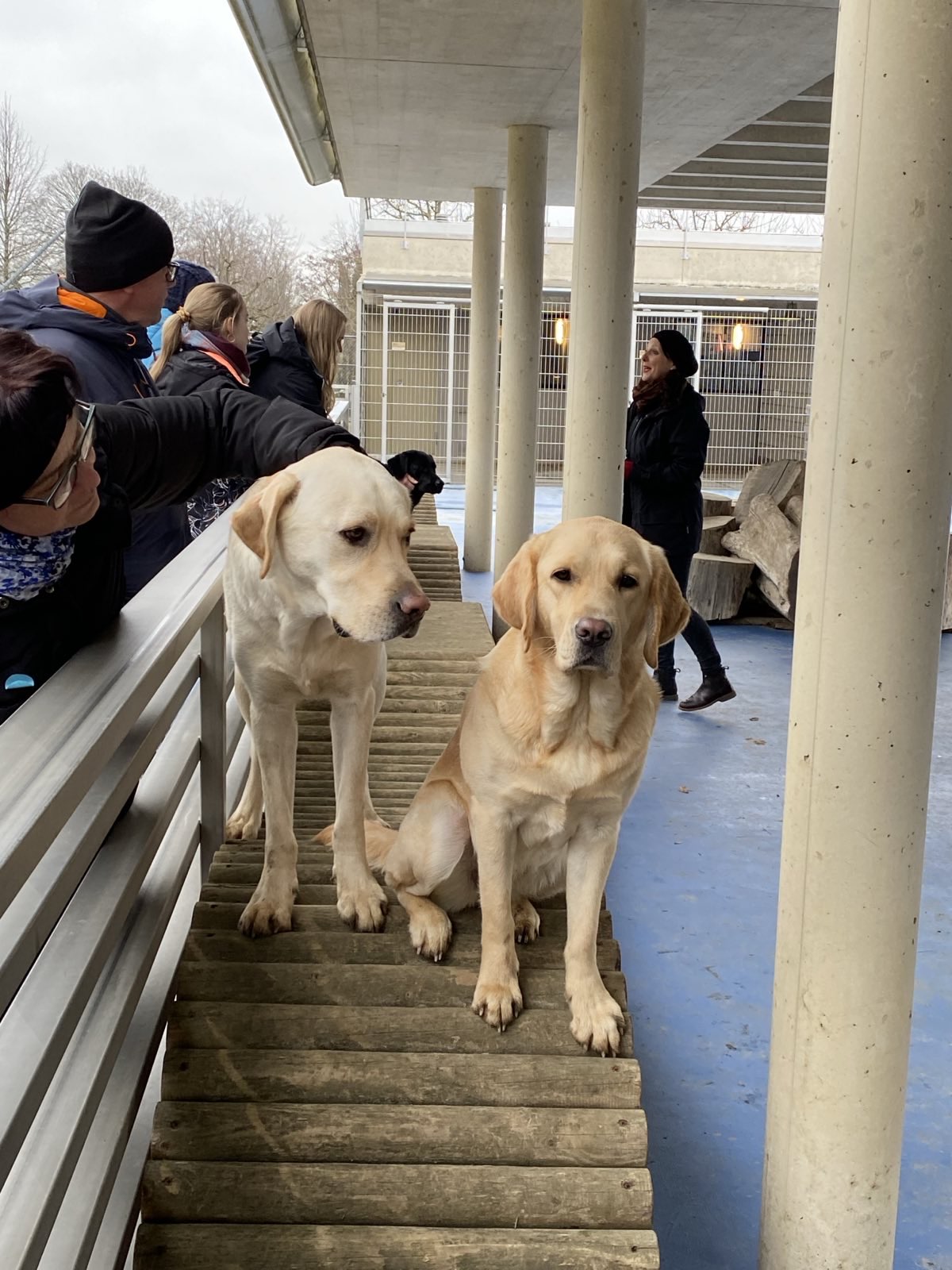 Wanderungen & Ausflüge