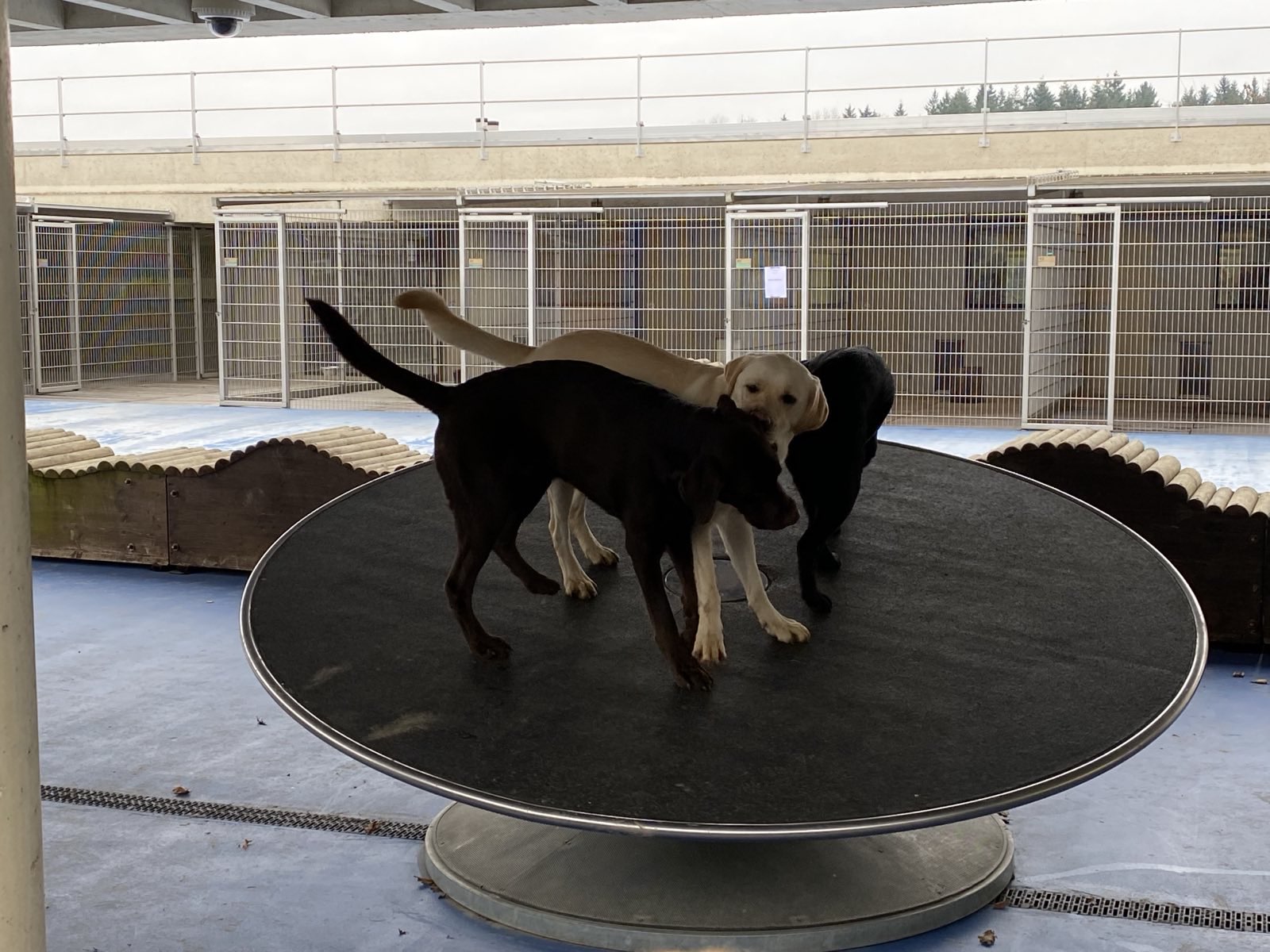 Wanderungen & Ausflüge