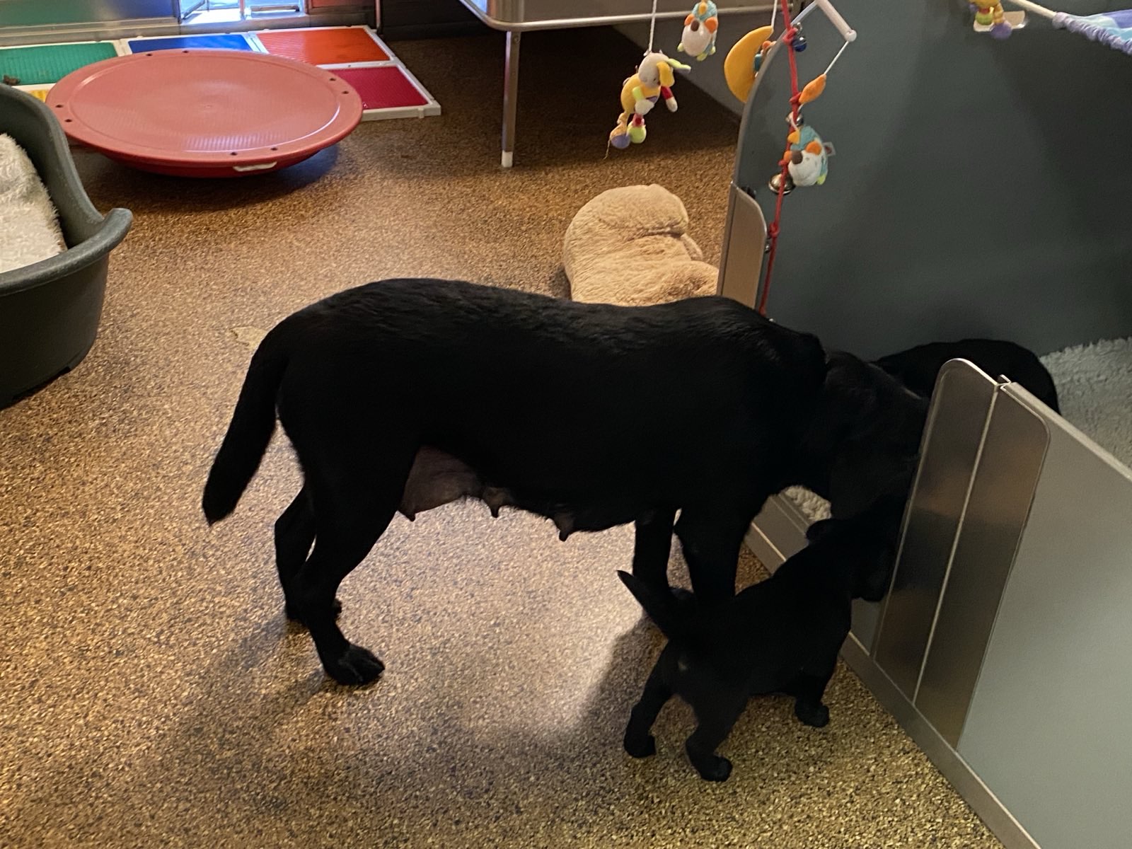 Wanderungen & Ausflüge